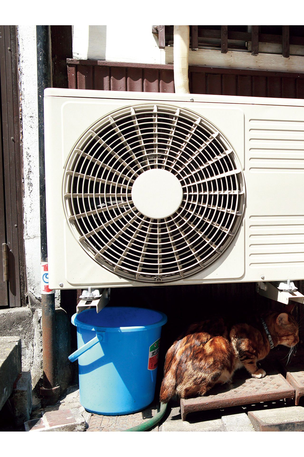 [PB] Yuka Kuramoti 倉持由香 - 尻神 倉持由香 必撮！まるごと☆_第3张