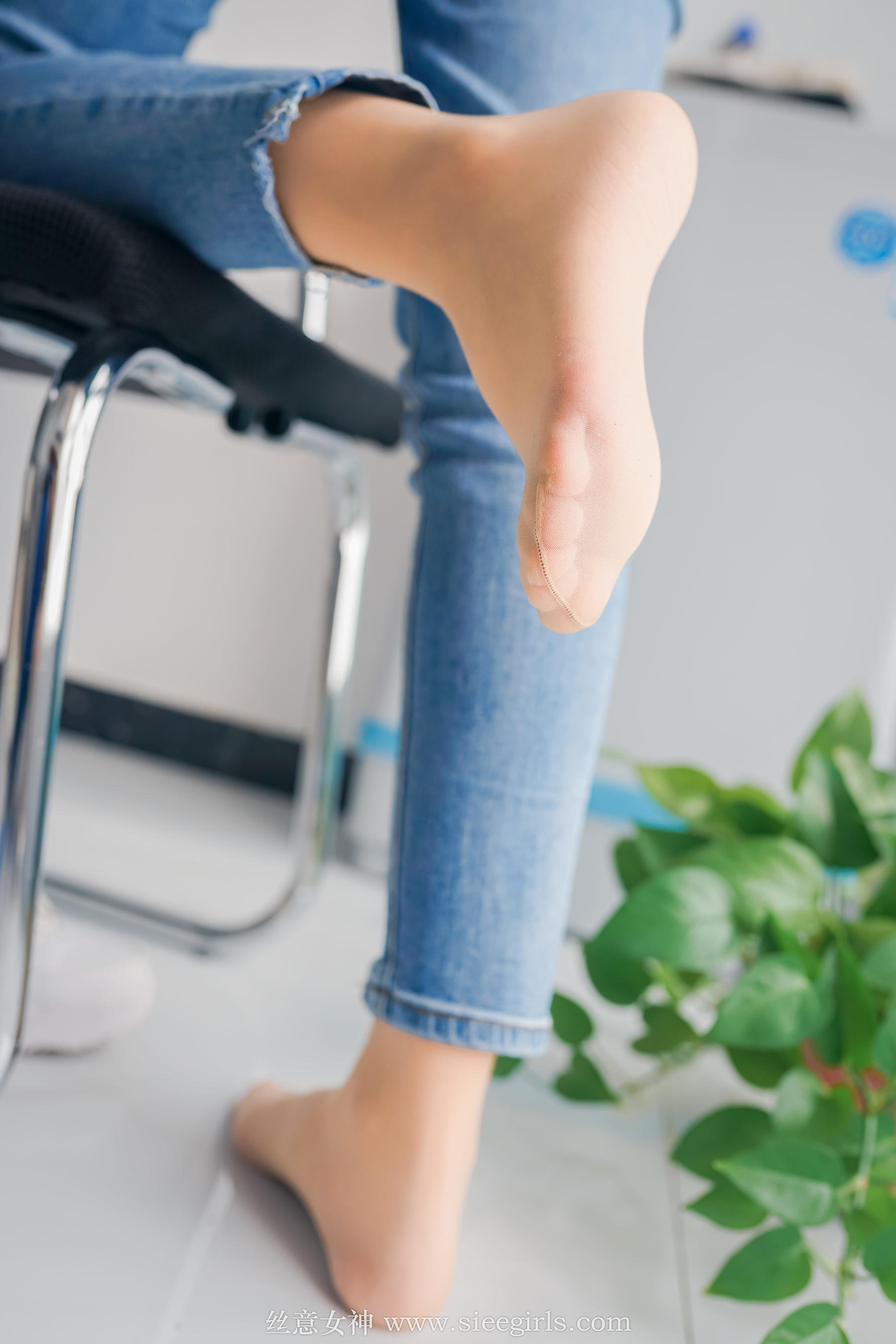 [丝意SIEE] 瑶瑶 了深秋的梦_第1张