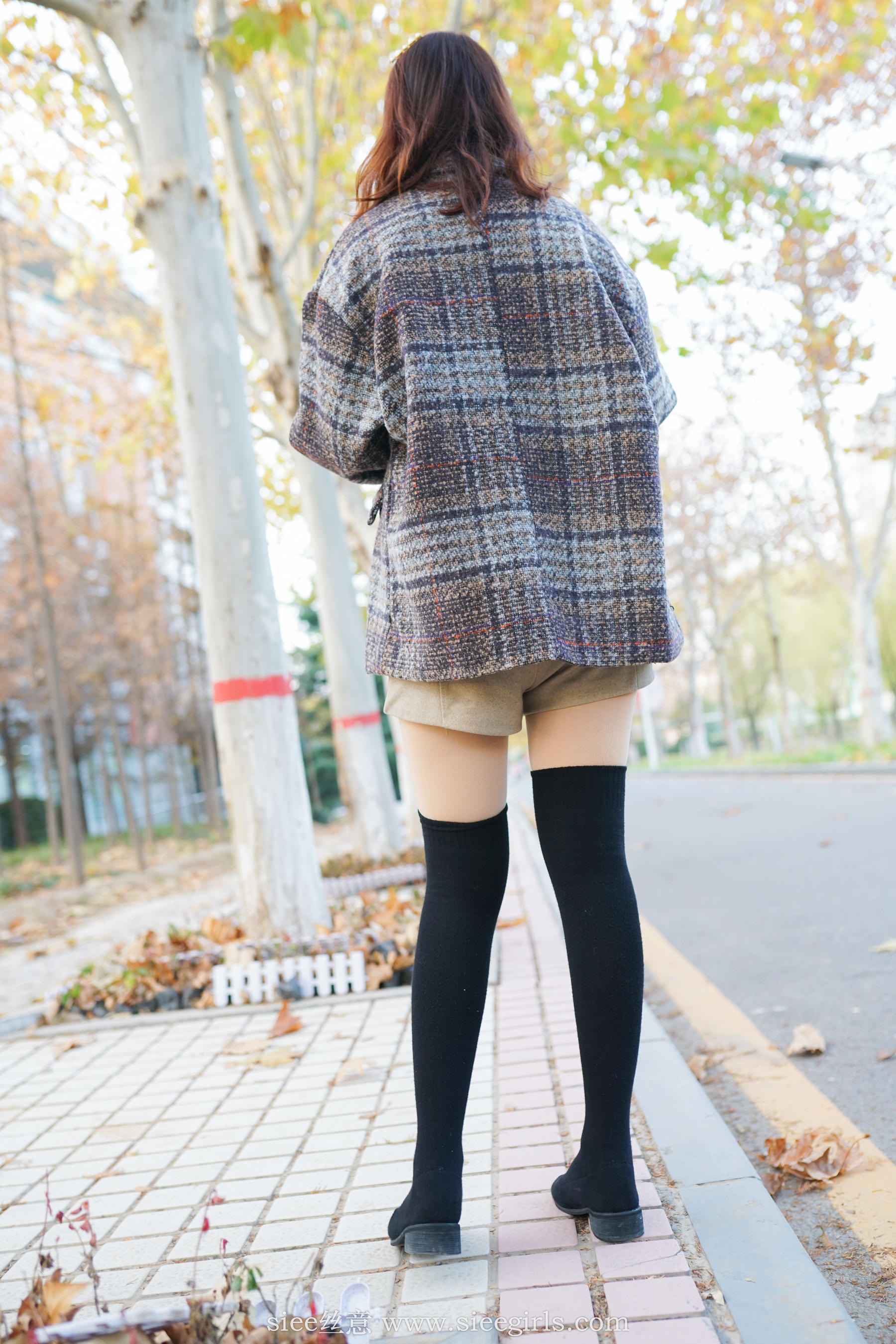 [丝意SIEE] No.401 琴琴 冬韵_第1张