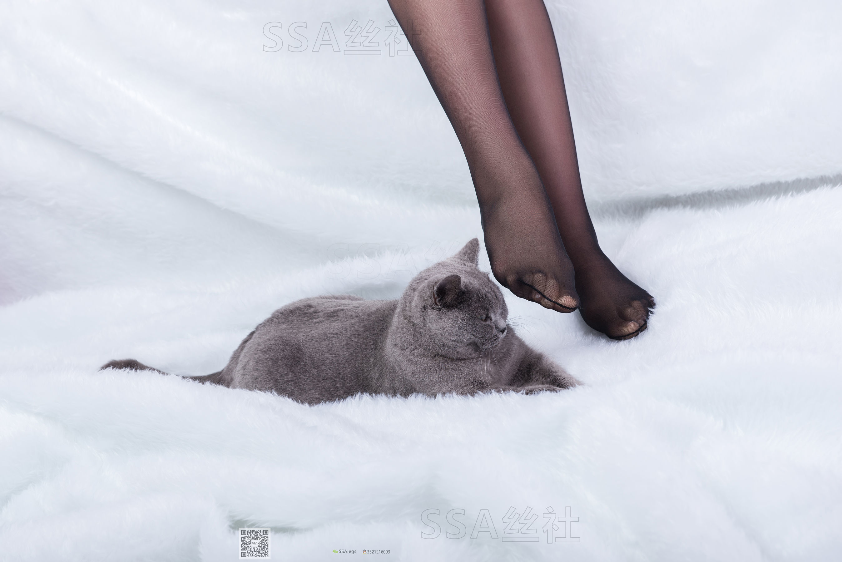 [SSA丝社]超清写真 No.069 云云 旗袍_第3张