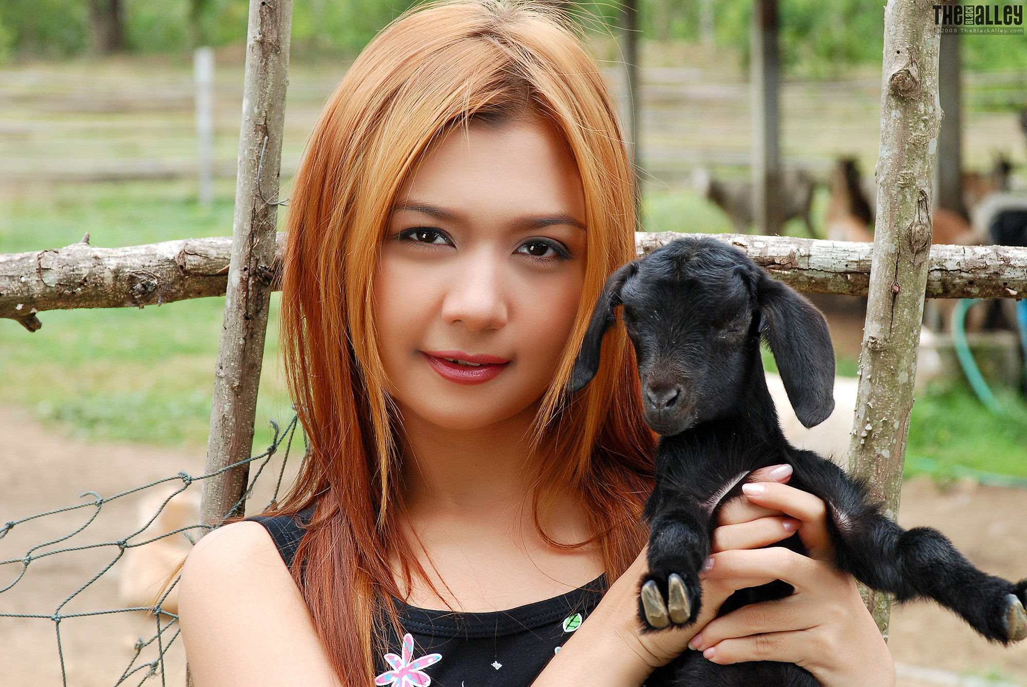 [TheBlackAlley] Vanessa Cho 小黑羊萌女_第2张