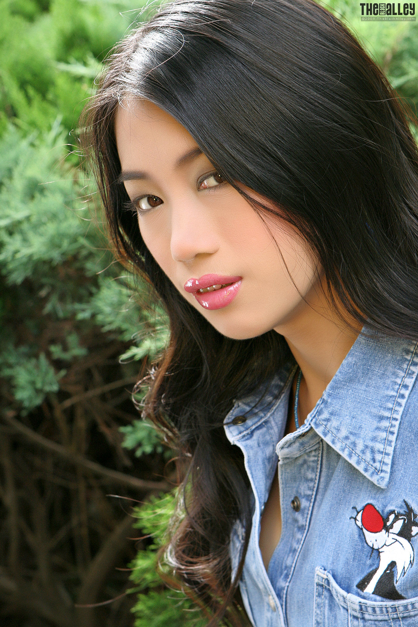 Feng Mei Zhe《牛仔的诱惑》 [The Black Alley]_第1张