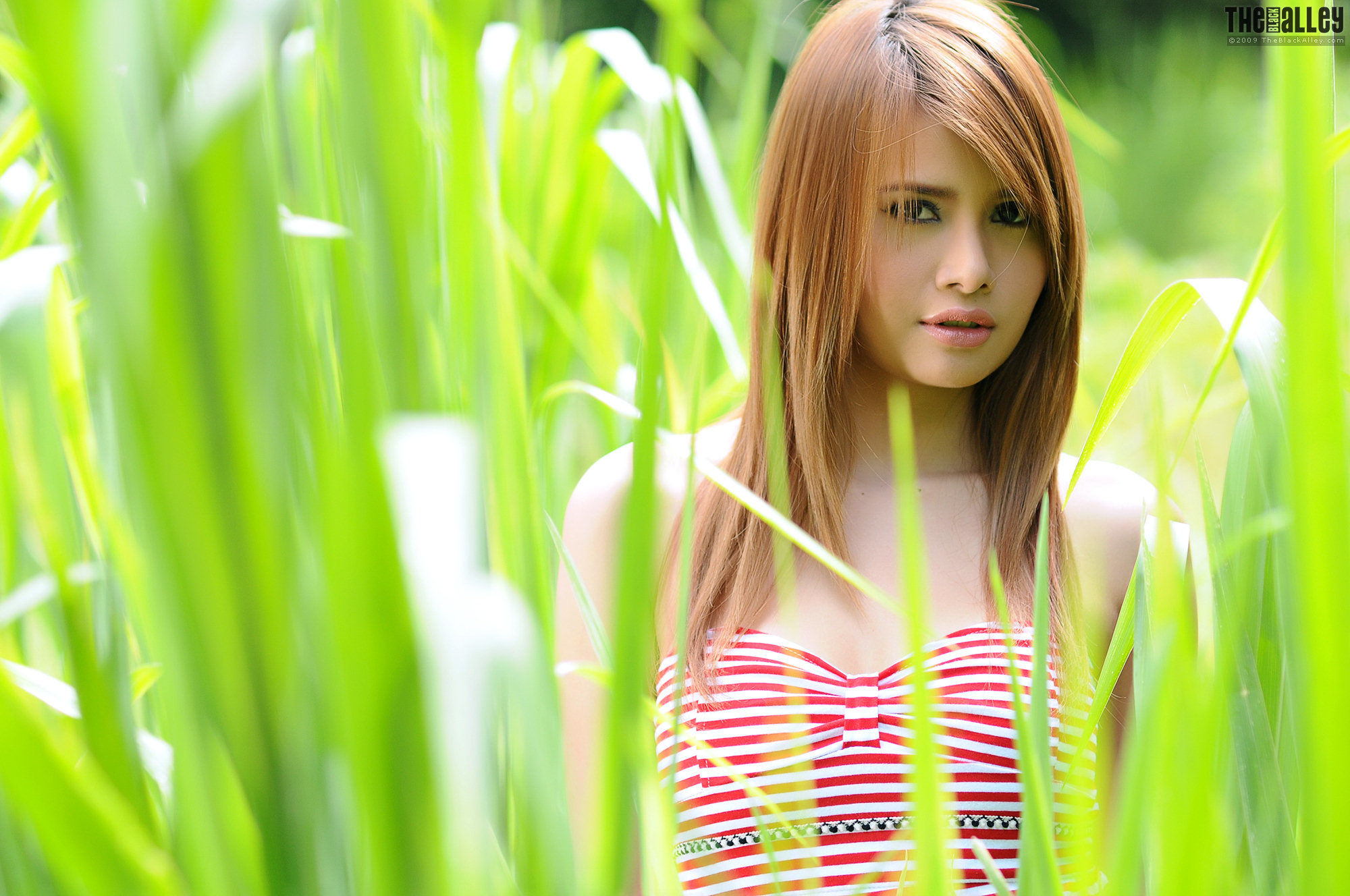 Kathy Cheow《唯美连衣裙外拍》 [The Black Alley]_第4张