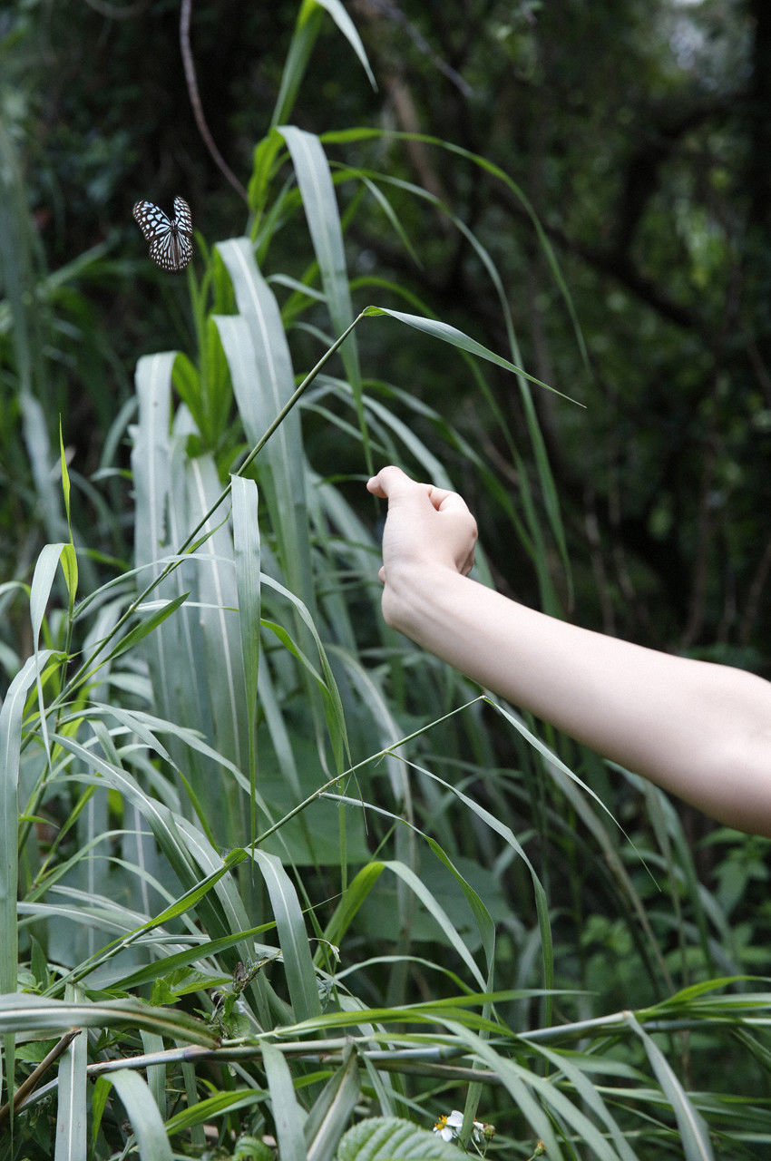 夏菜《The Gravure~最終章~》 [WPB-net] No.166_第4张