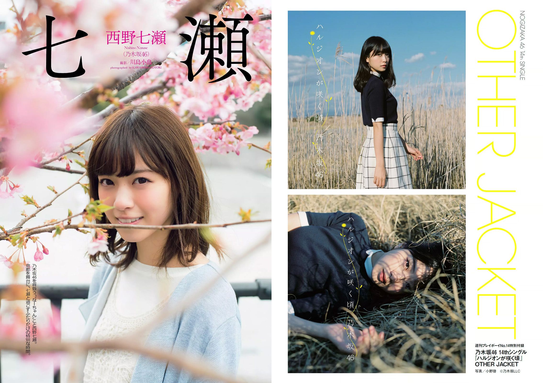 西野七瀬 RaMu 柳ゆり菜 橋本マナミ 生田佳那 天使もえ 青山ひかる [Weekly Playboy] 2016年No.14 写真杂志_第2张