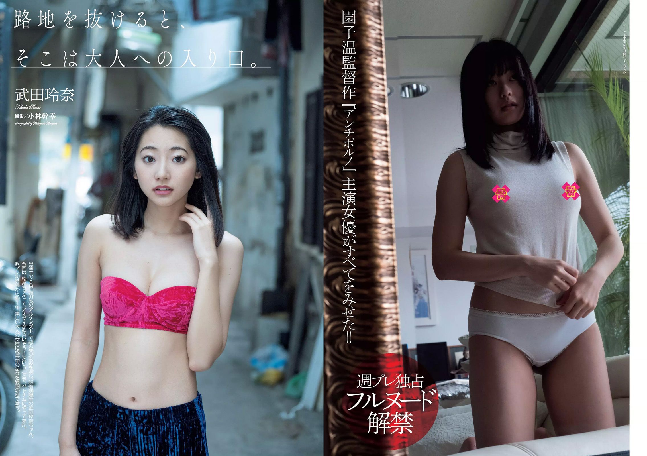 武田玲奈 冨手麻妙 川口春奈 瑠衣夏 野村麻純 入矢麻衣 橋本梨菜 [Weekly Playboy] 2017年No.07 写真杂志_第4张