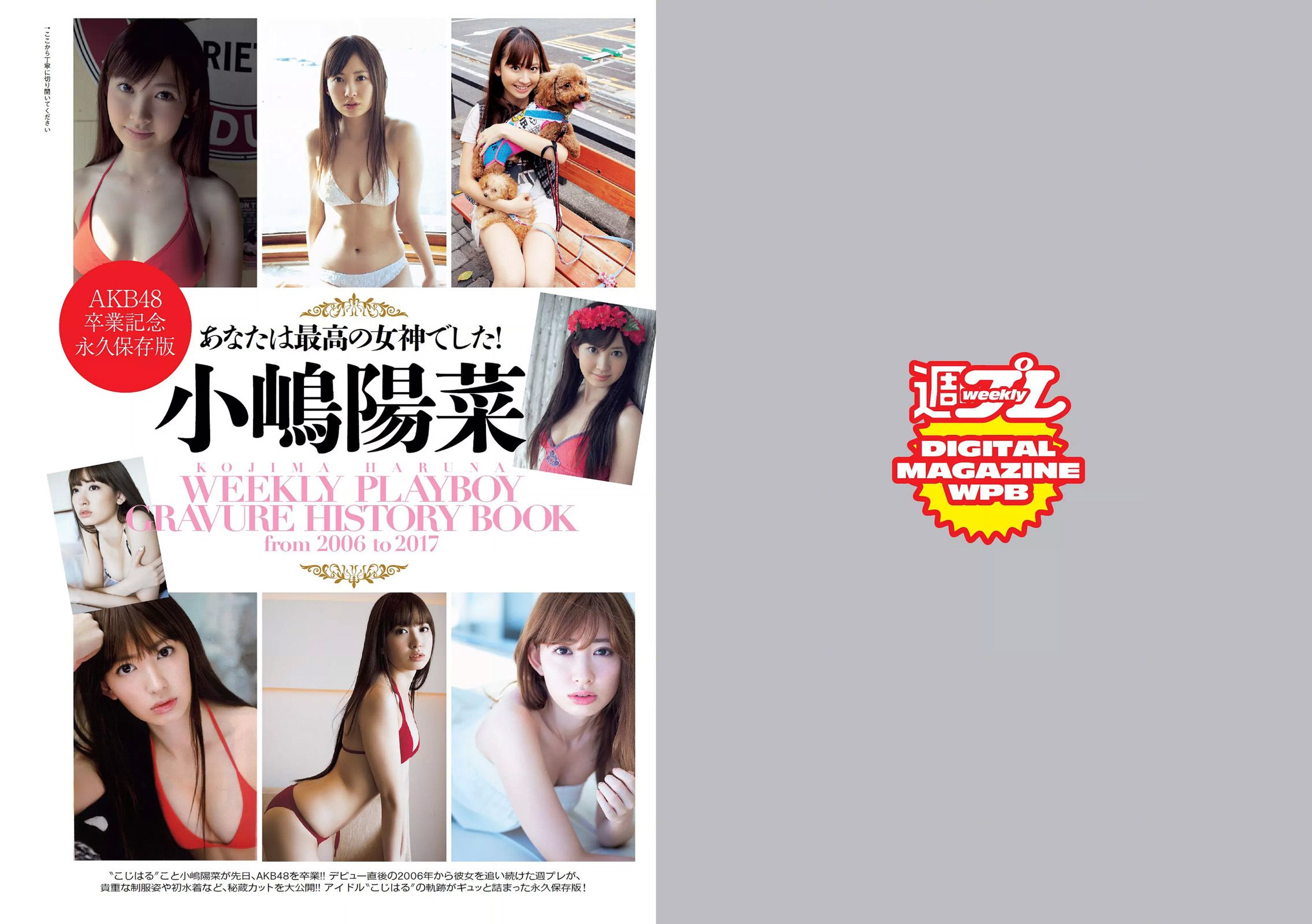 馬場ふみか 小嶋陽菜 天木じゅん 朝比奈彩 逢沢りな 浅川梨奈 藤木由貴 [Weekly Playboy] 2017年No.19-20 写真杂志_第2张