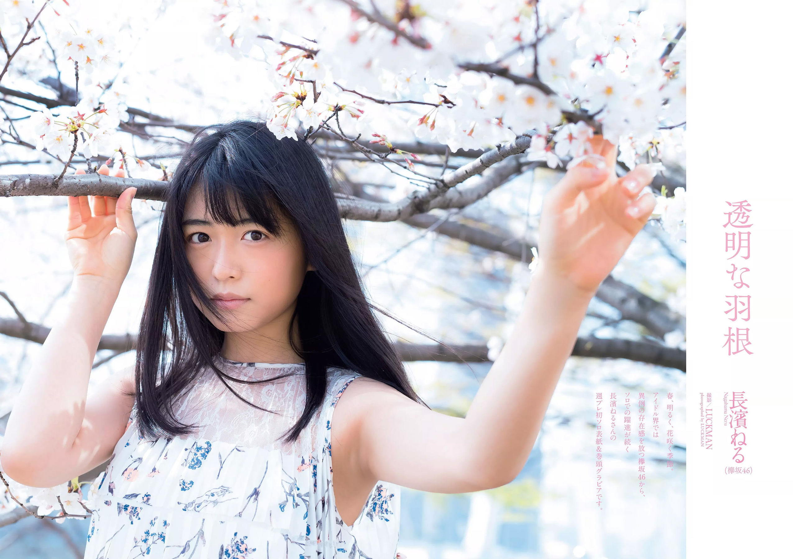 長濱ねる 沢すみれ 松田紗和 わちみなみ 本間日陽 齊藤英里 竹内佳菜子 [Weekly Playboy] 2018年No.17 写真杂志_第2张