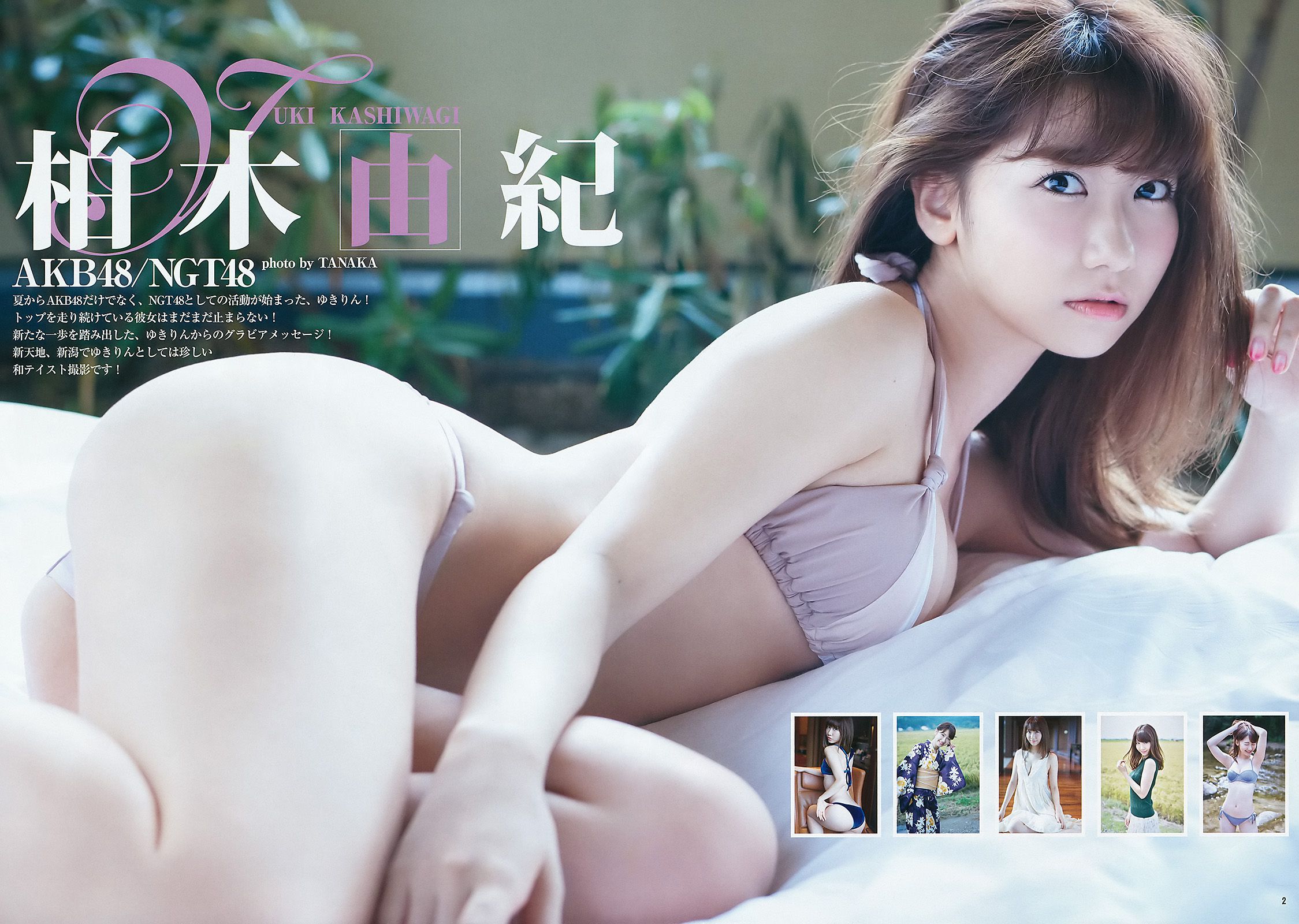 柏木由紀 山下エミリー [Weekly Young Jump] 2015年No.46 写真杂志_第3张