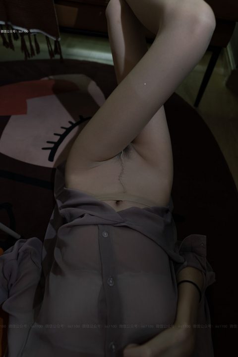 ISS系列 – 全套64期极品无内丝含配套视频[61.9G-2025.1]