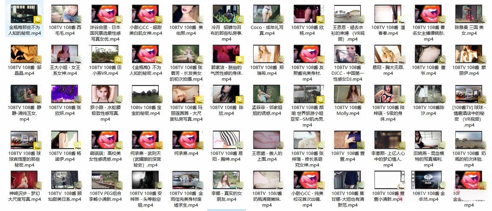 [合集]《108TV酱》视频作品144套120.89G