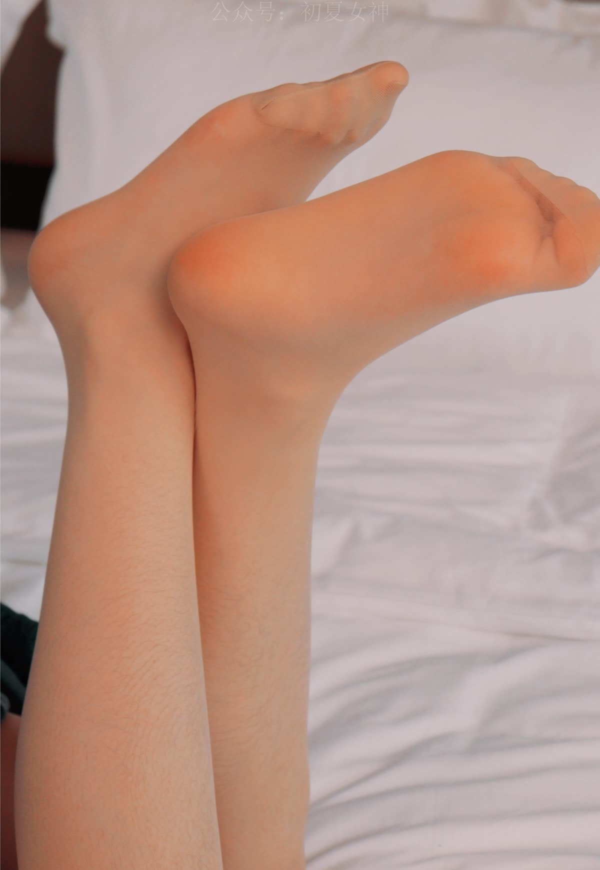 初夏女神 – 全套278期&4K视频合集[1341G-2025.9]