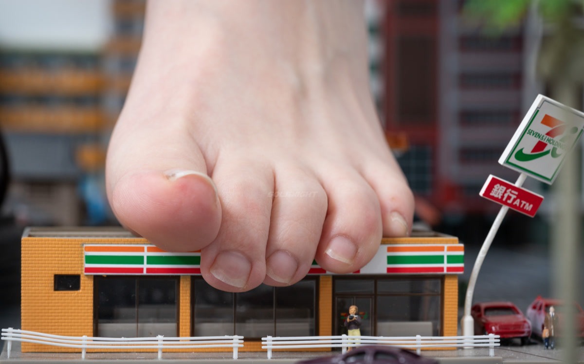 Solexight(台湾) – 全套37期&4K视频[189G-2025.5]