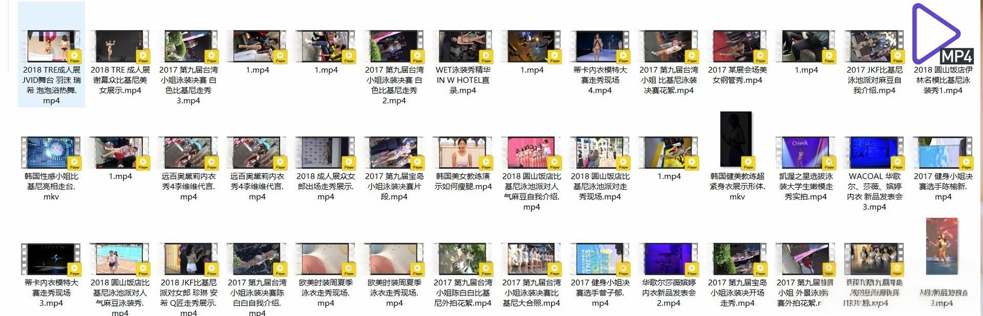 精选模特 明星（韩国女团/韩国车展车模/JKF比基尼派/钢管秀/成人展/内衣秀/时装秀/街拍视频）高清视频合集 共117套写真写真视频[33.60G]