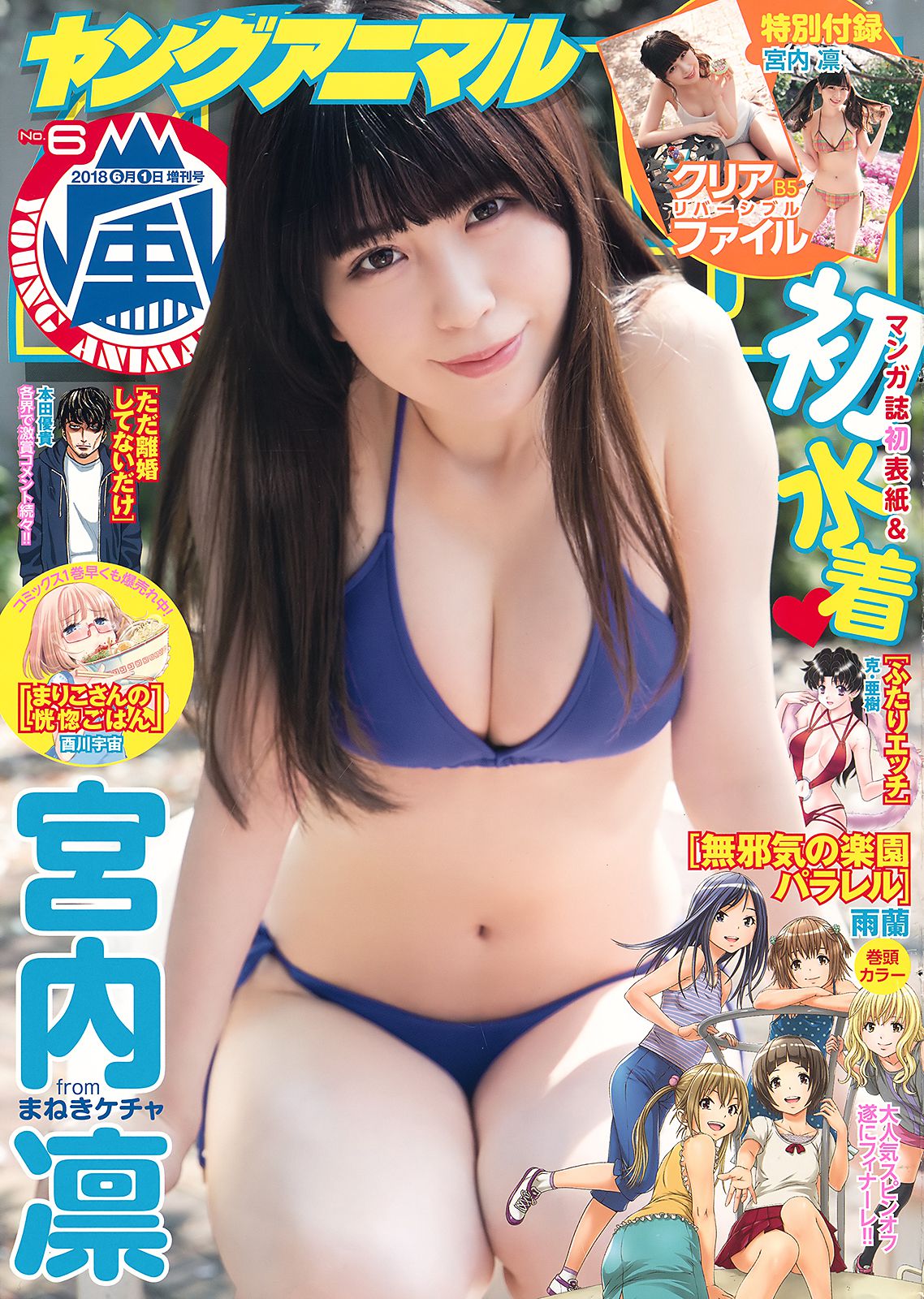 Rin Miyauchi 宮内凛 [Young Animal Arashi] 岚特刊2018年No.06 写真杂志_第1张