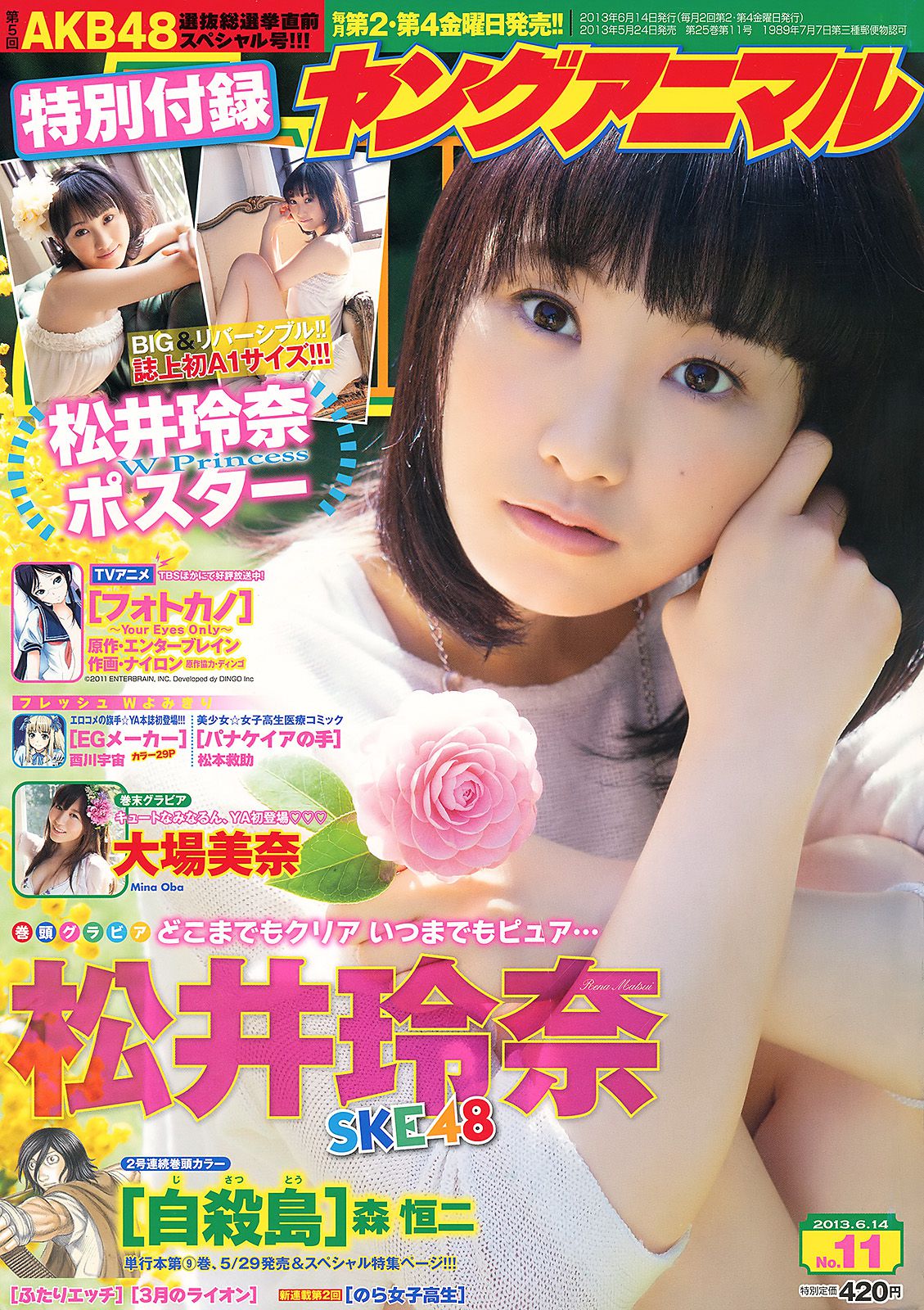 松井玲奈 大場美奈 [Young Animal] 2013年No.11 写真杂志_第1张