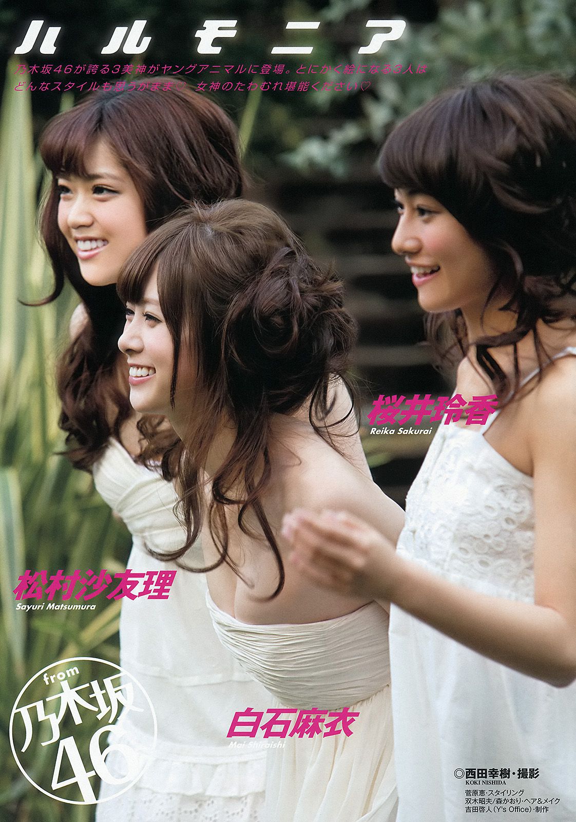 白石麻衣 桜井玲香 松村沙友理 須田亜香里 松村香織 [Young Animal] 2013年No.24 写真杂志_第2张