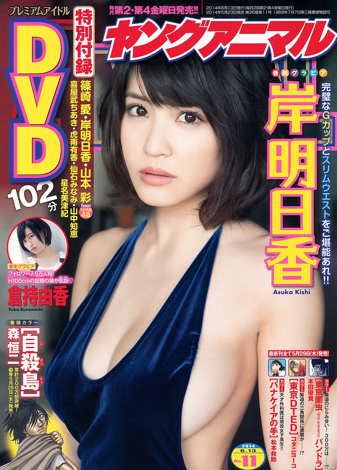 岸明日香 倉持由香 [Young Animal] 2014年No.11 写真杂志_第1张