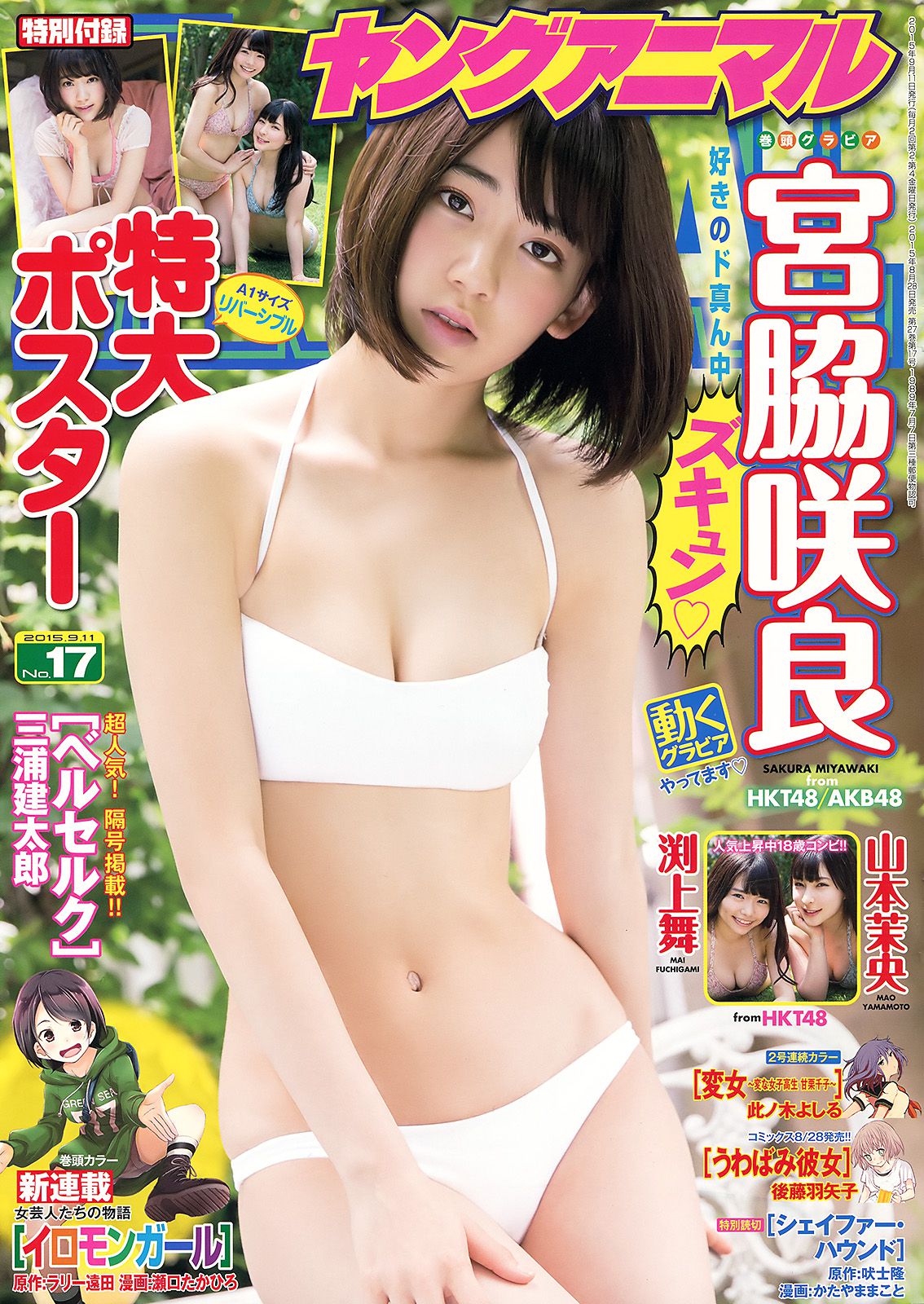 宮脇咲良 山本茉央 渕上舞 [Young Animal] 2015年No.17 写真杂志_第1张