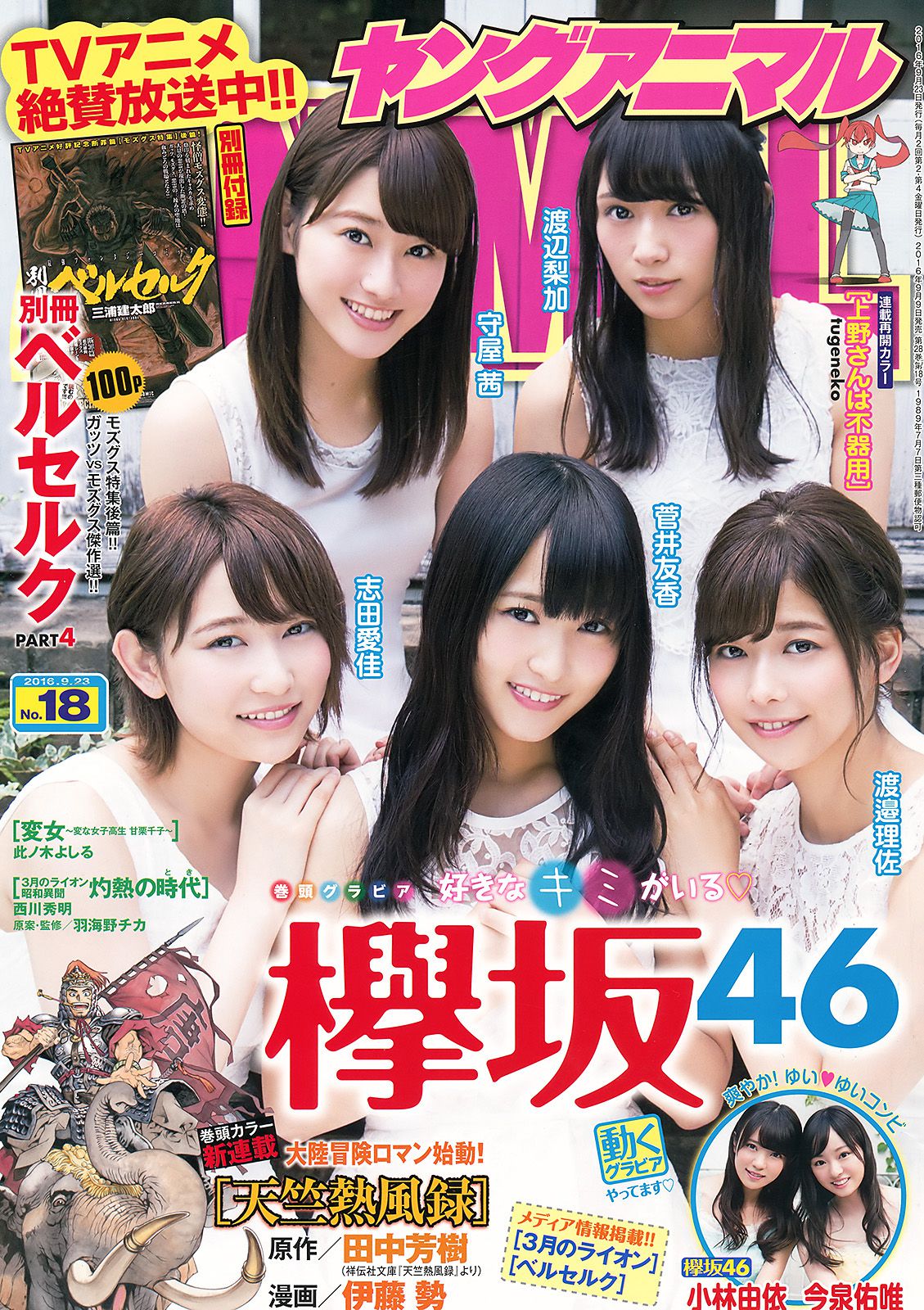 欅坂46 渡辺梨加 渡邉理佐 菅井友香 守屋茜 志田爱佳 [Young Animal] 2016年No.18 写真杂志_第1张