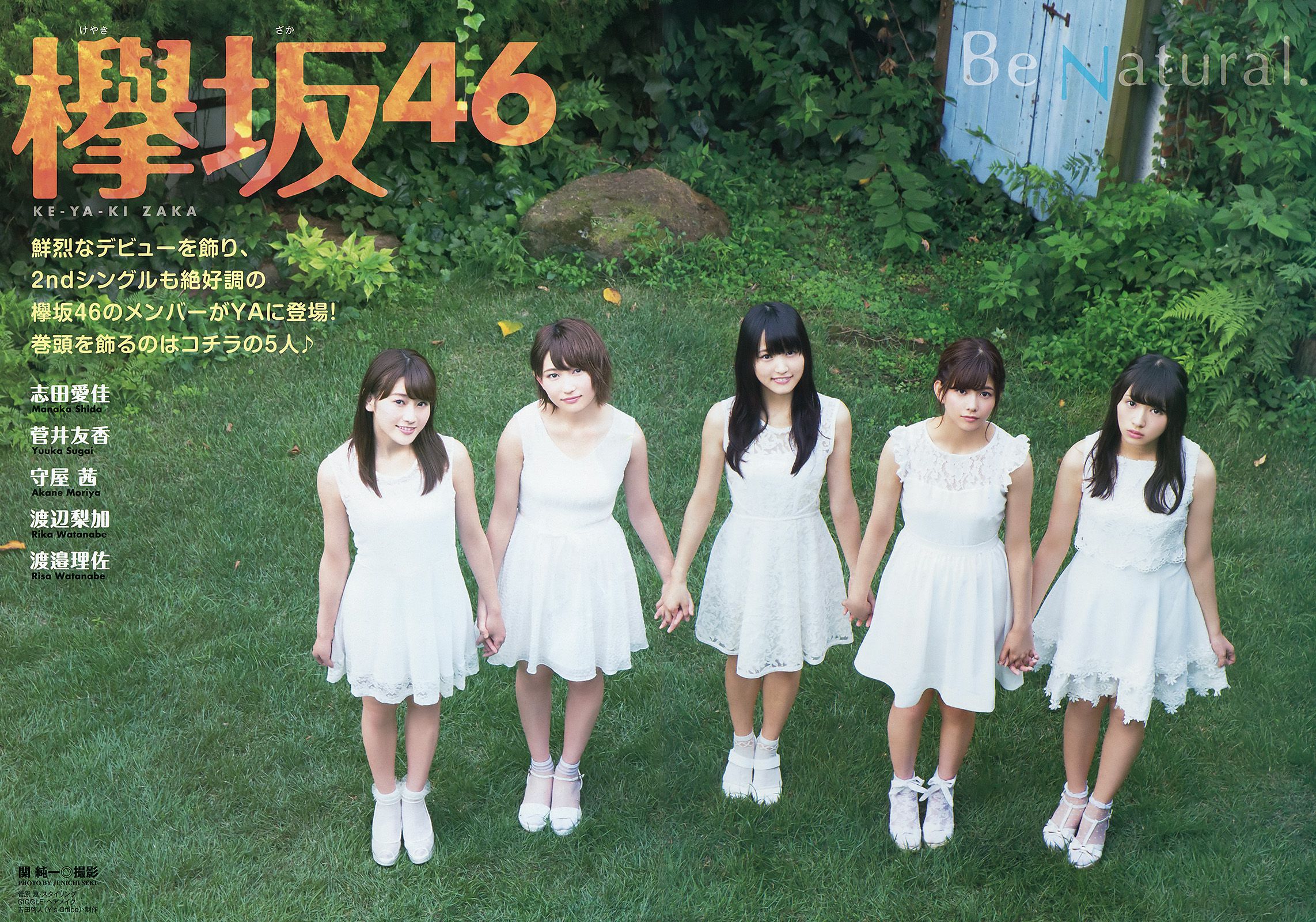 欅坂46 渡辺梨加 渡邉理佐 菅井友香 守屋茜 志田爱佳 [Young Animal] 2016年No.18 写真杂志_第4张