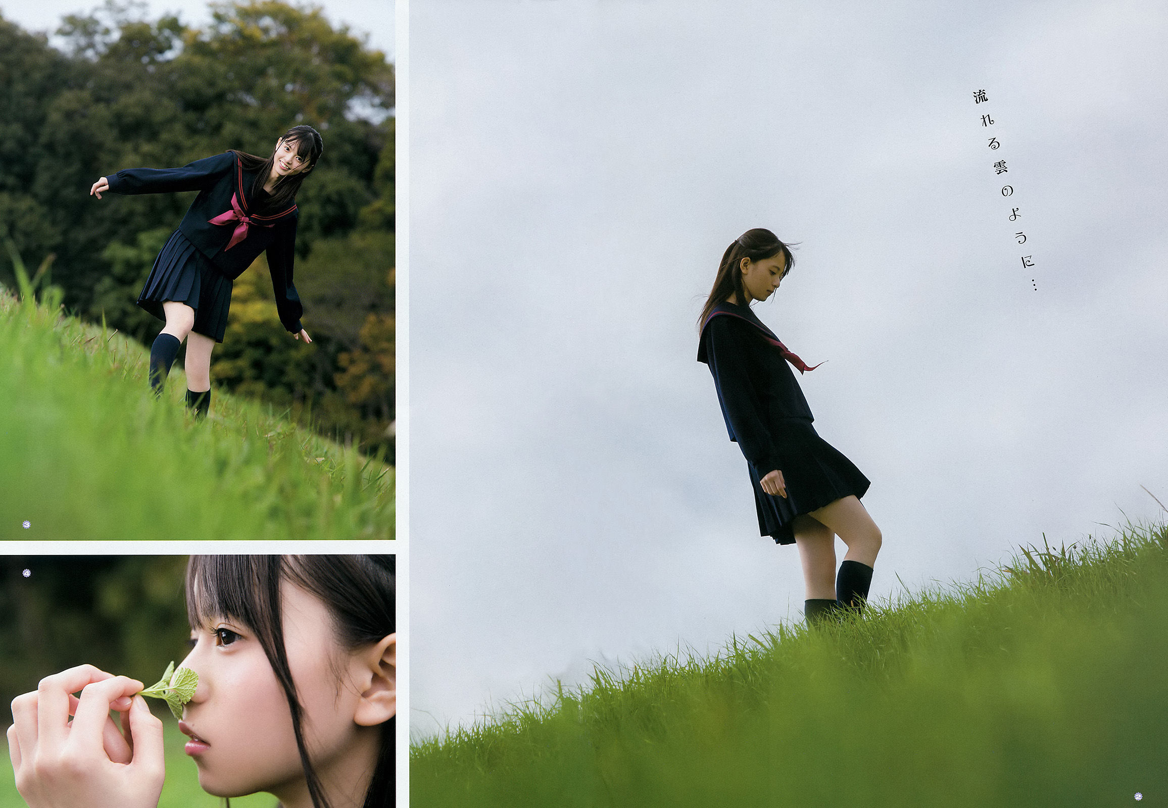 [Young Gangan] 2016年No.01 齋藤飛鳥 寺田蘭世 京佳_第4张