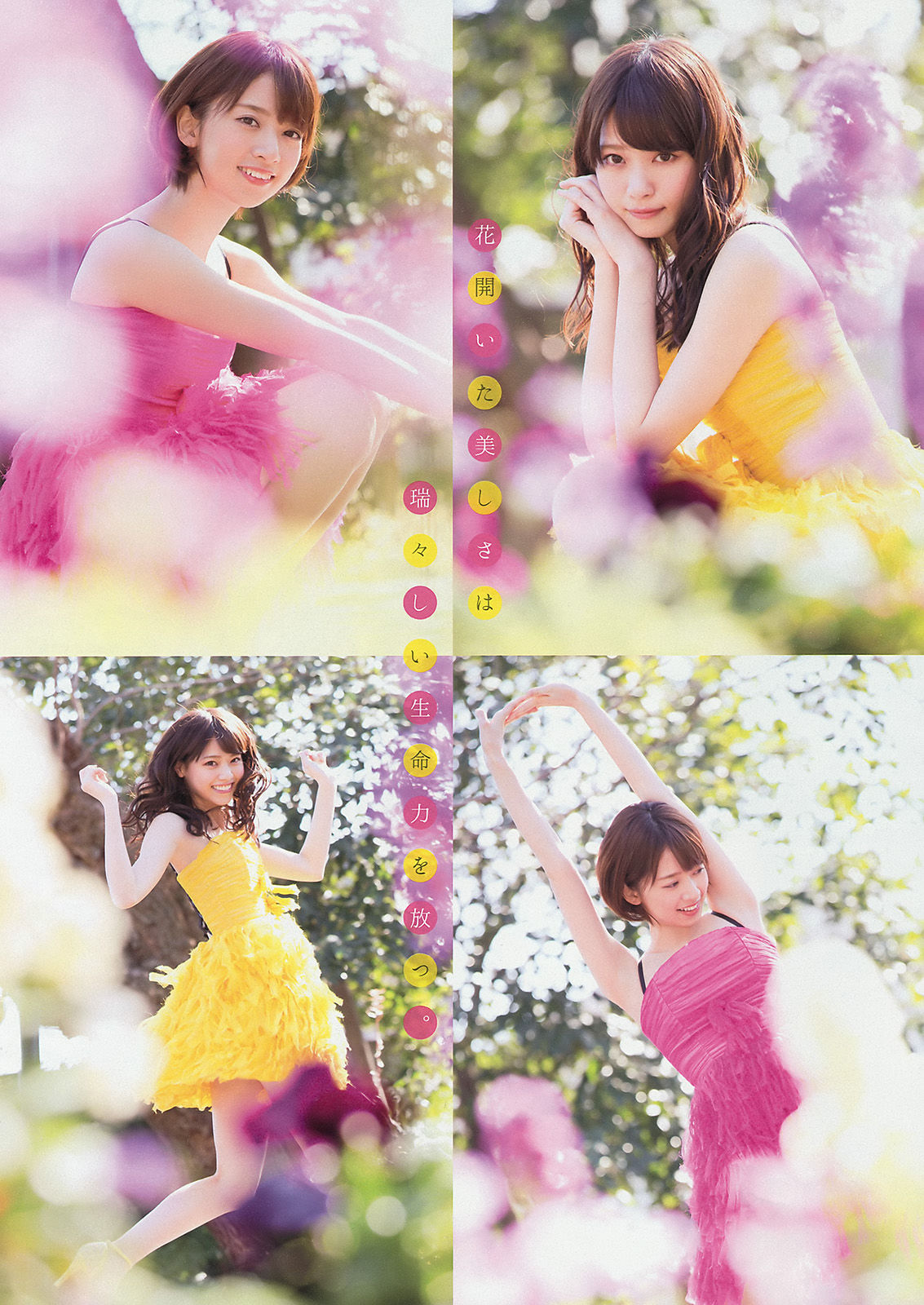 [Young Magazine] 2015年No.16 西野七瀬 橋本奈々未_第5张