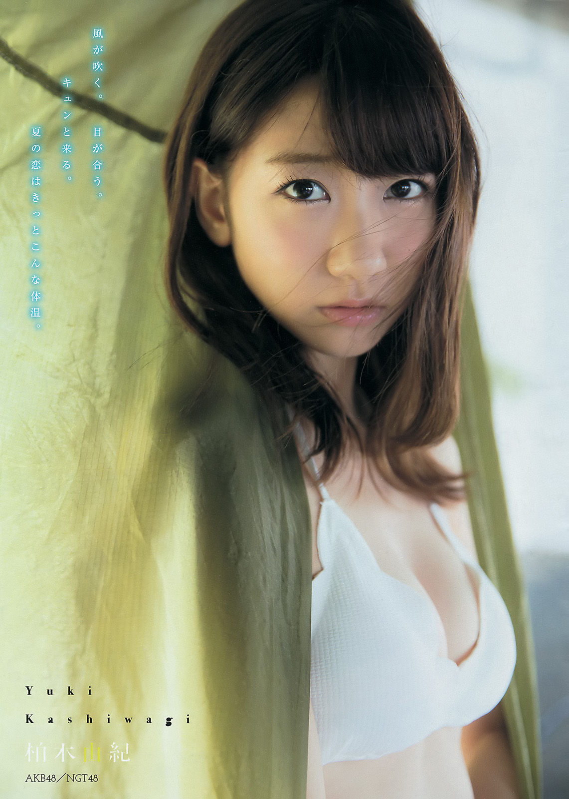 [Young Magazine] 2016年No.36-37 柏木由紀 峯岸みなみ 二村春香_第4张