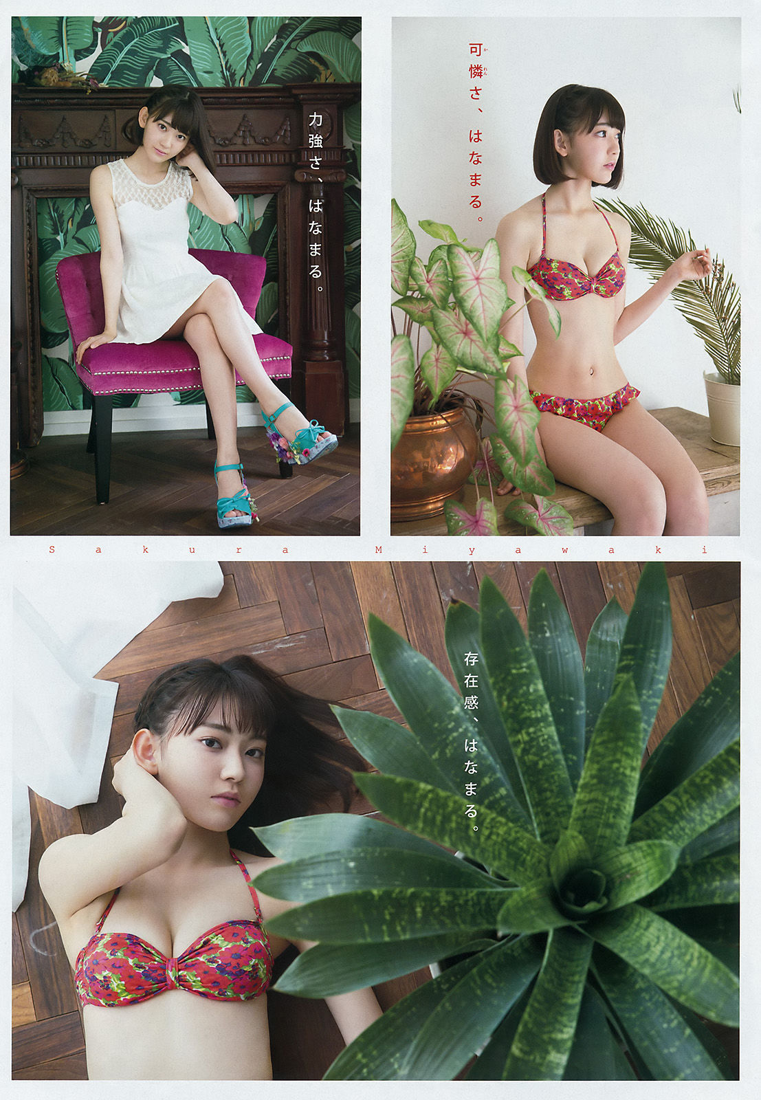 [Young Magazine] 2016年No.41 宮脇咲良 大澤玲美_第4张