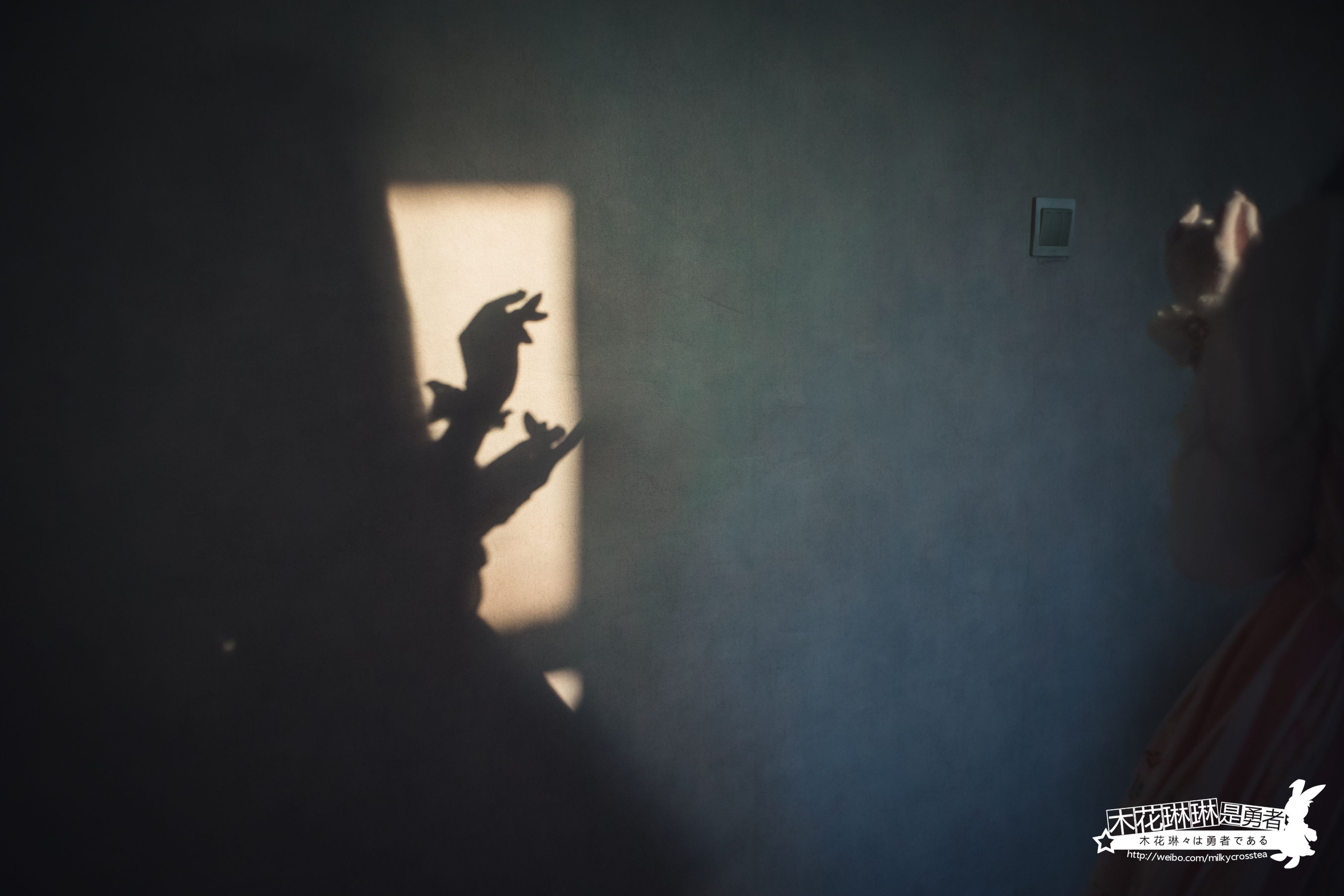 [Cosplay写真] 福利姬木花琳琳是勇者 – 未来日记 [51P]