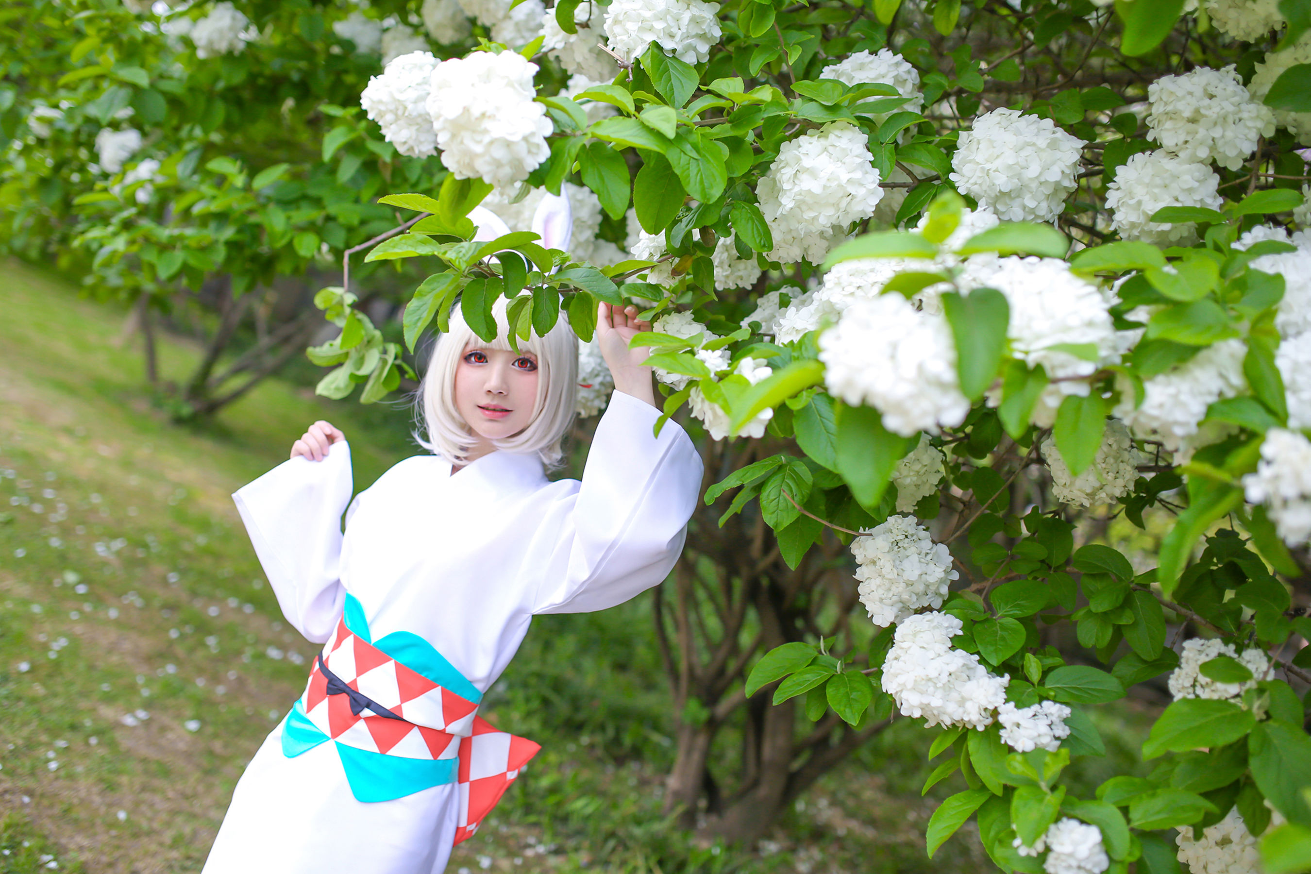 网红coser
