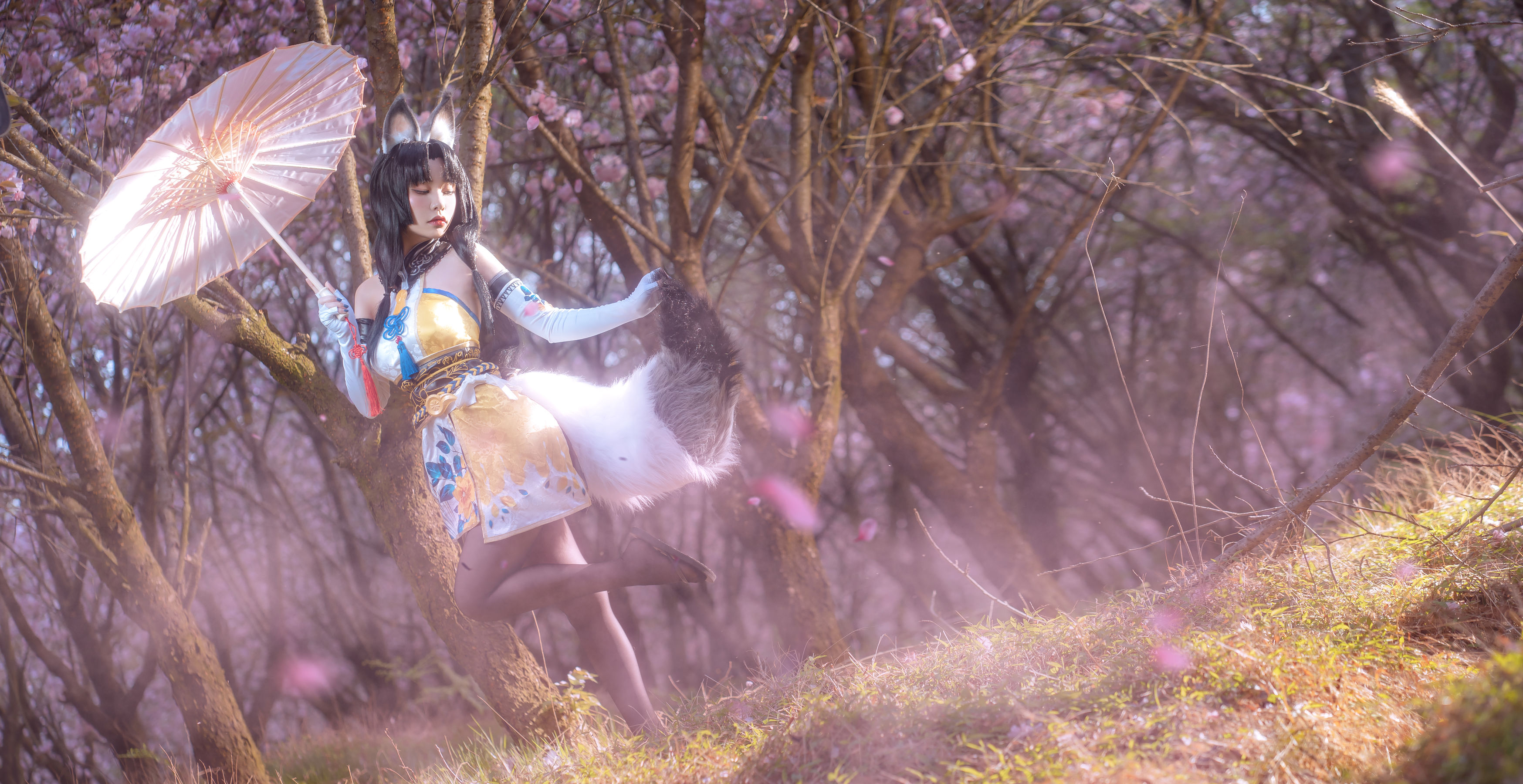 网红coser