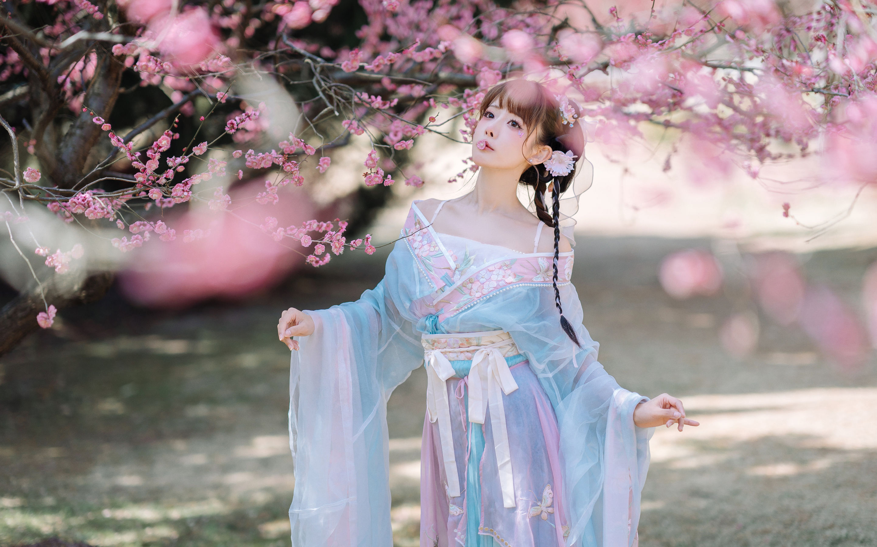 网红coser