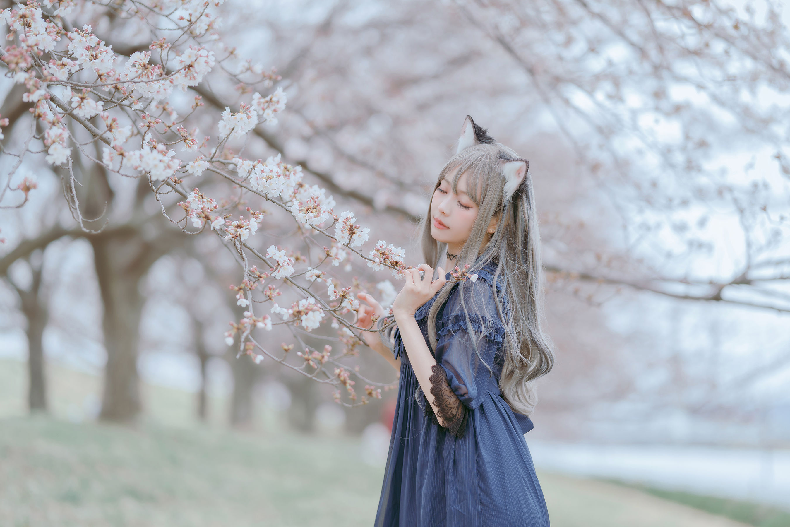 网红coser