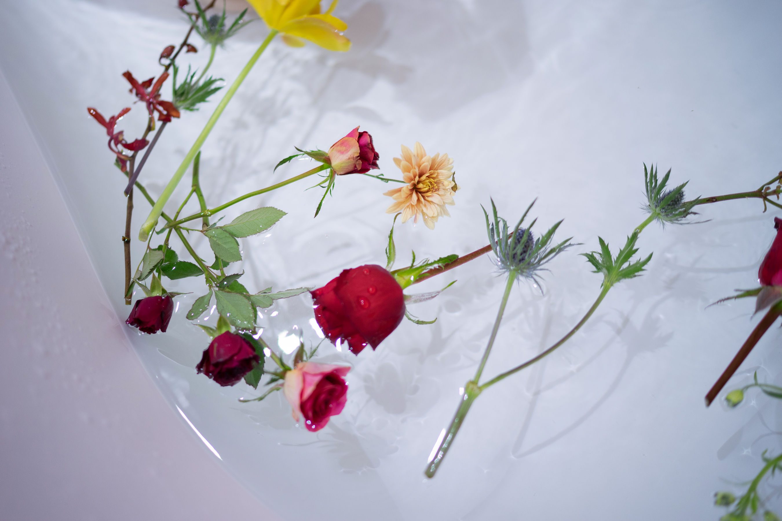 人气Coser黑川 年上彼女 橙色泳衣 [23P]