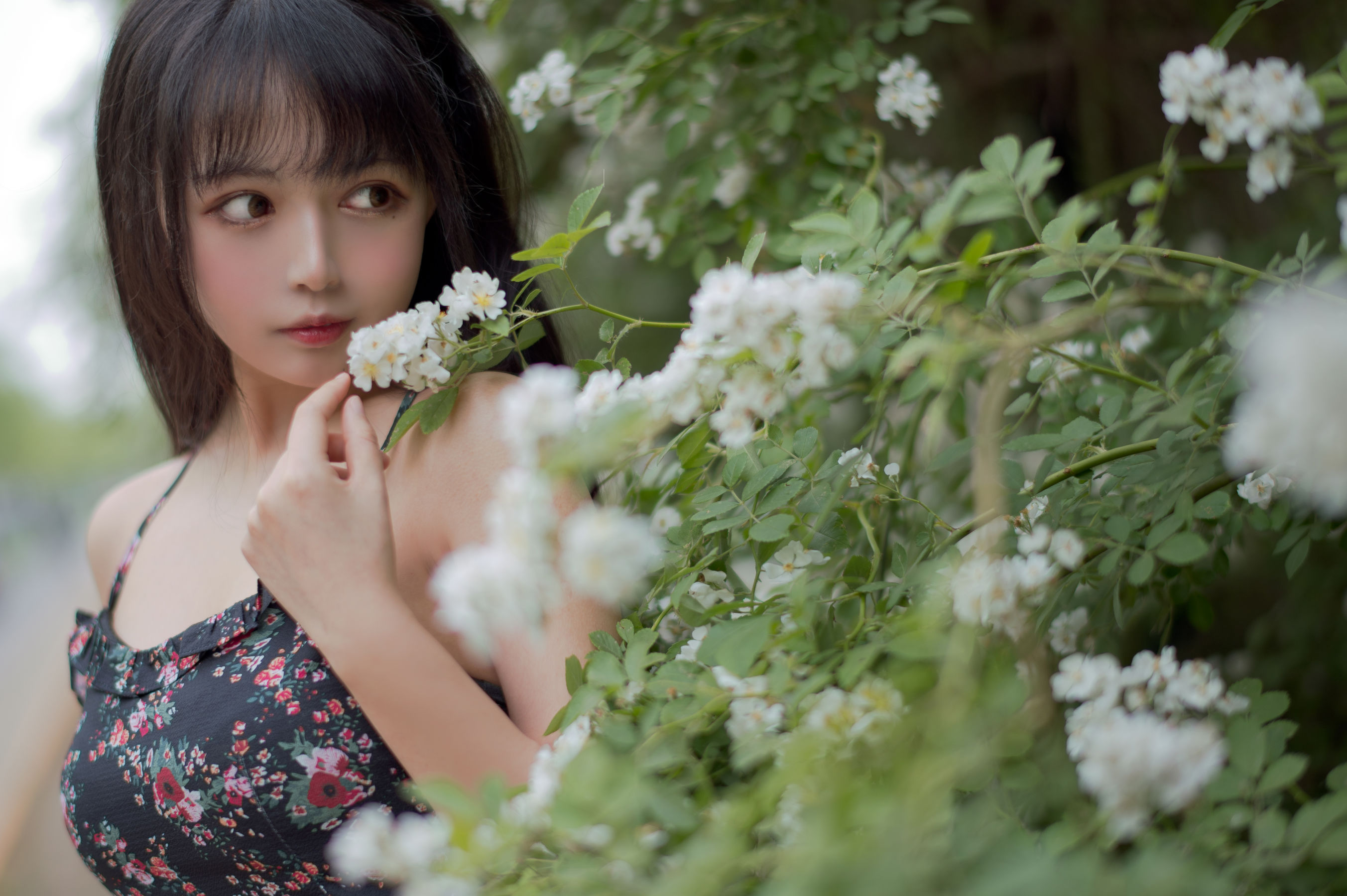 大眼萌妹黑猫猫OvO – 蔷薇1 [22P]