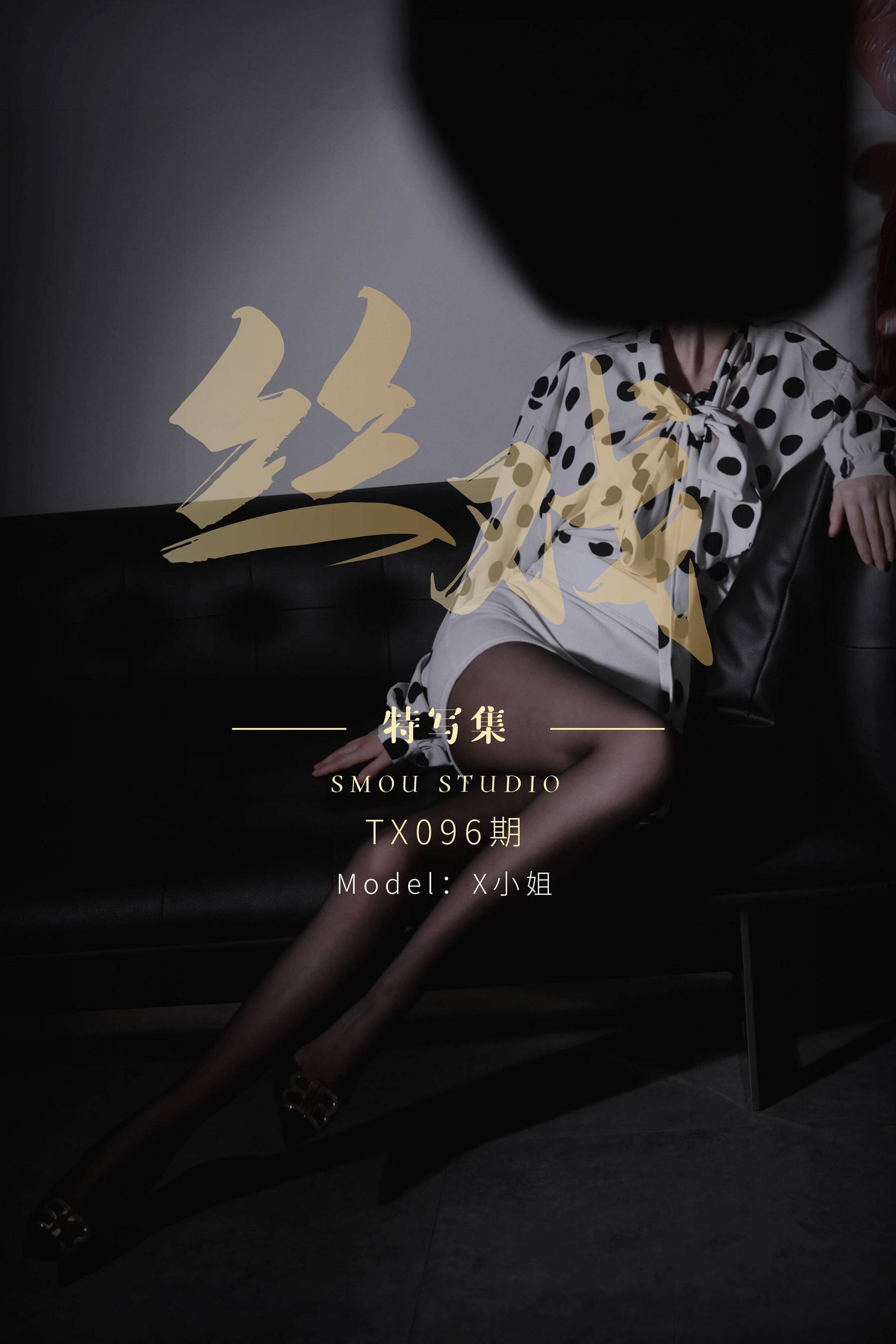 [丝慕GIRL]特写集 TX096 X小姐_第1张