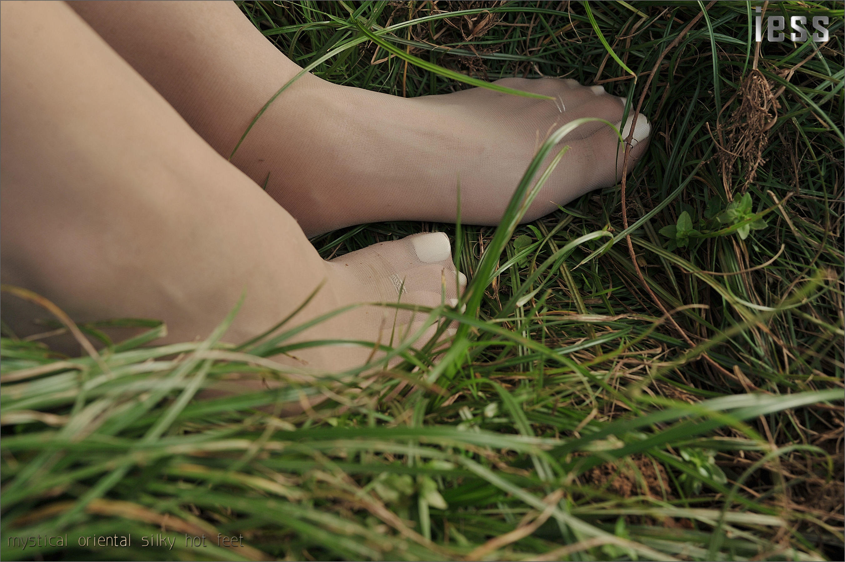 丝足便当016 SASA 《阳光下的罂粟花》[IESS异思趣向]_第2张