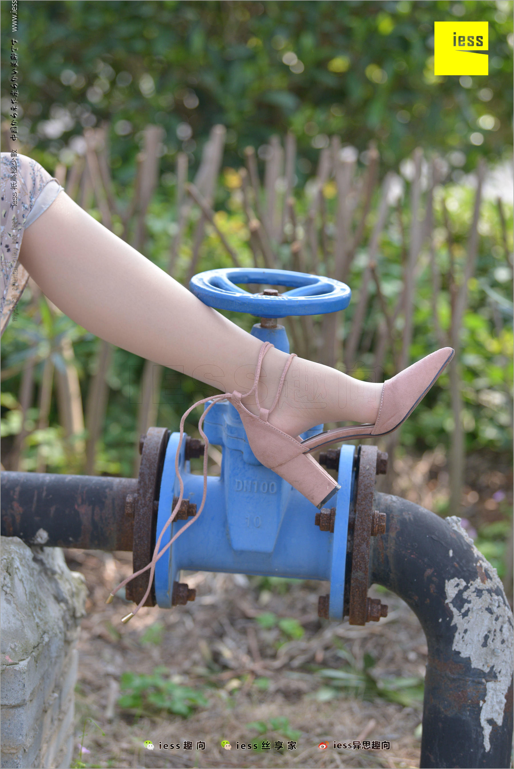 馨月《足鉴》 [异思趣向IESS] 丝足便当215_第4张