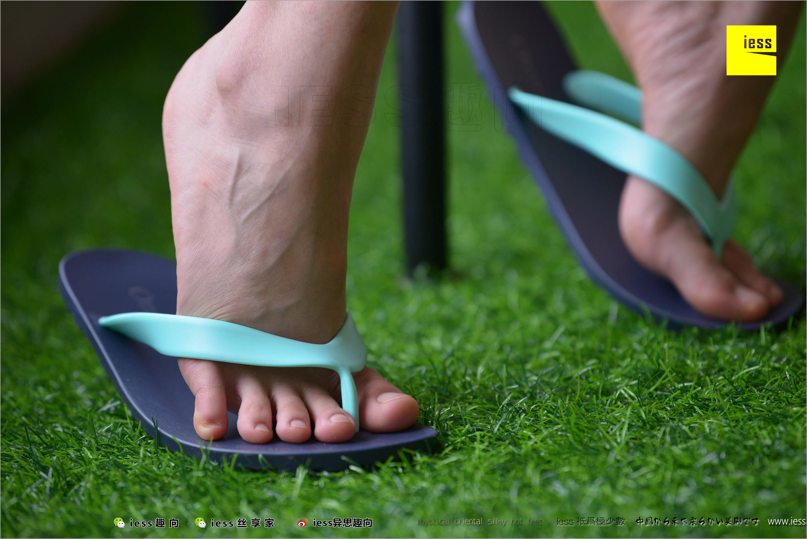 暖暖《精典人字拖》 [异思趣向IESS] 丝足便当221_第3张