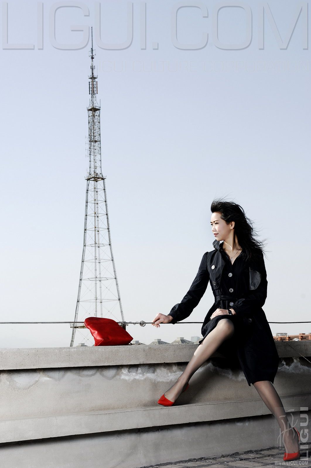 [丽柜LiGui] Model 程海伦《紅與黑》丝足写真图片_第2张
