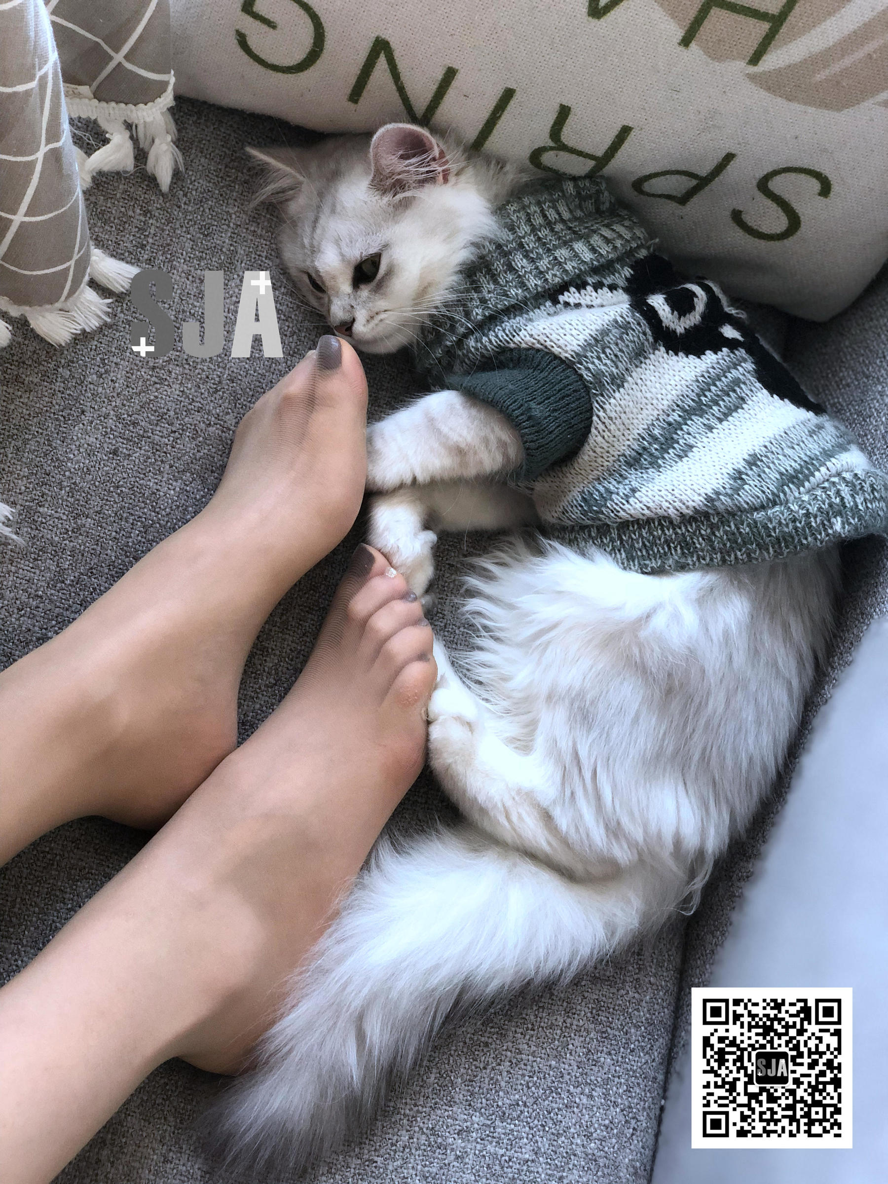 [佳爷SJA] Vol.013 佳爷 闺蜜视角《喵》_第1张