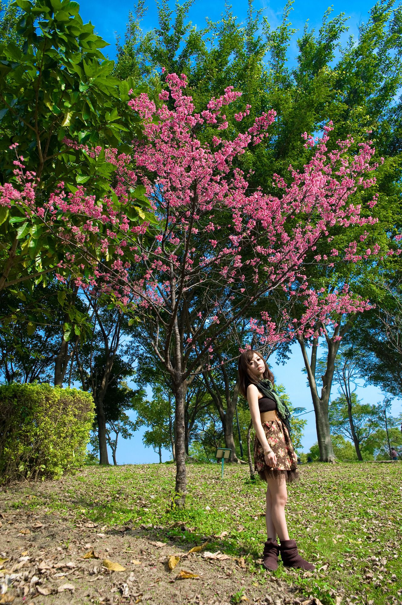 果子MM/张凯洁《四四南村+大安森林公園外拍》_第5张