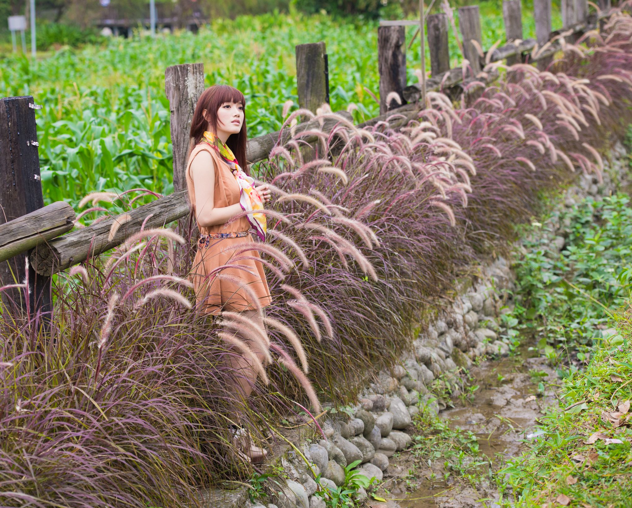 台湾模特林岗怡Didy《小清新3组连衣裙》写真合集_第3张