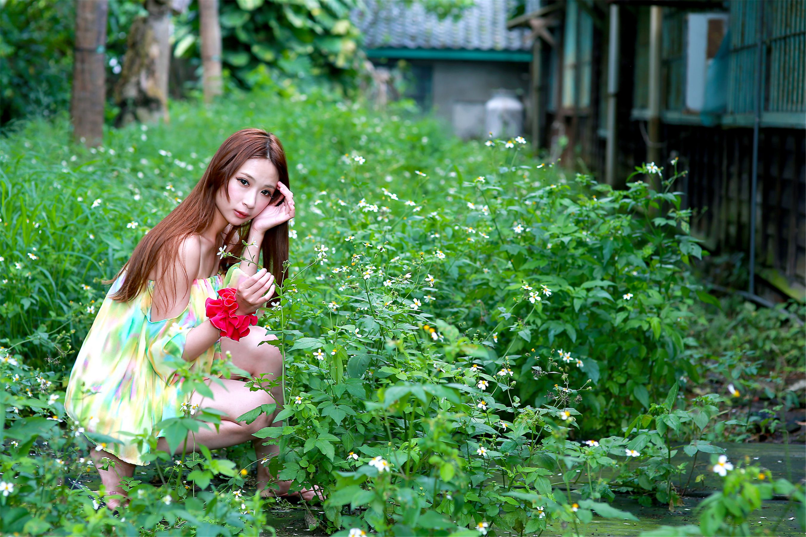 台湾妹子林小芭《春游踏青外拍》_第3张