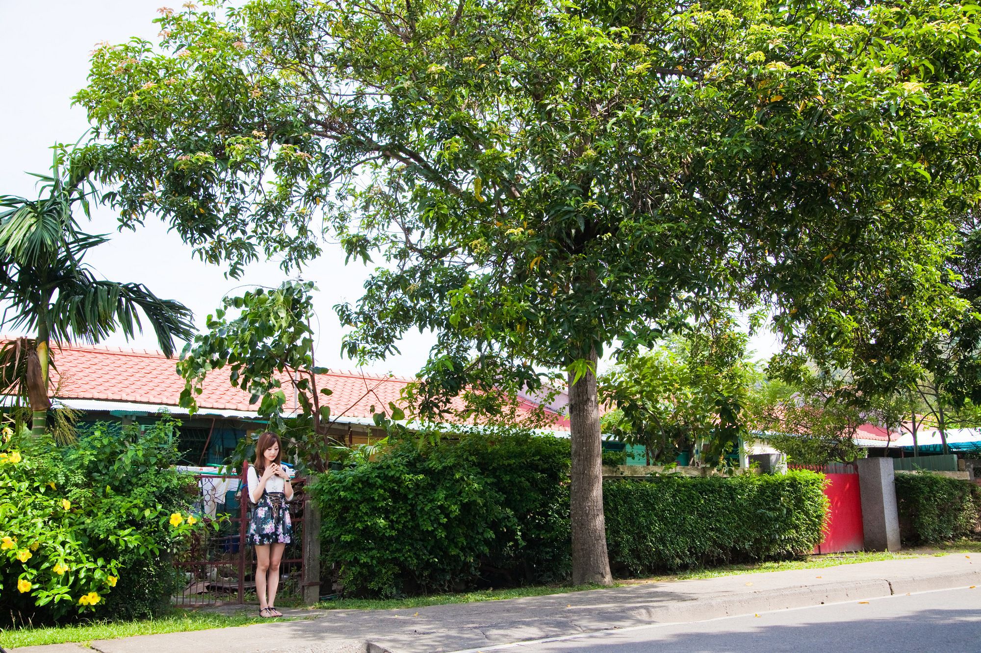 张凯洁/Mikako《中興新村外拍》_第1张