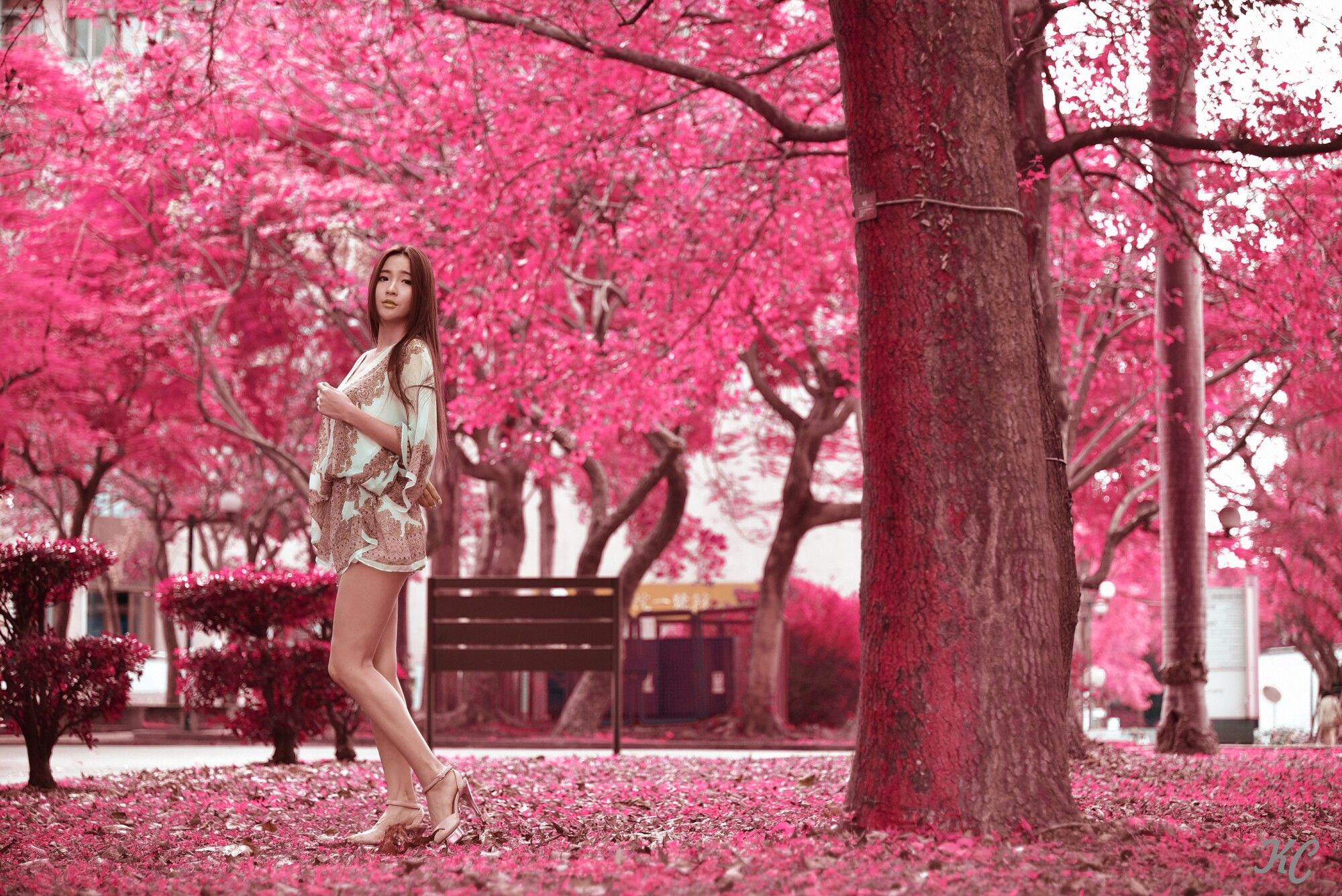 [台湾正妹] Anber小安柏《台大2014》_第2张