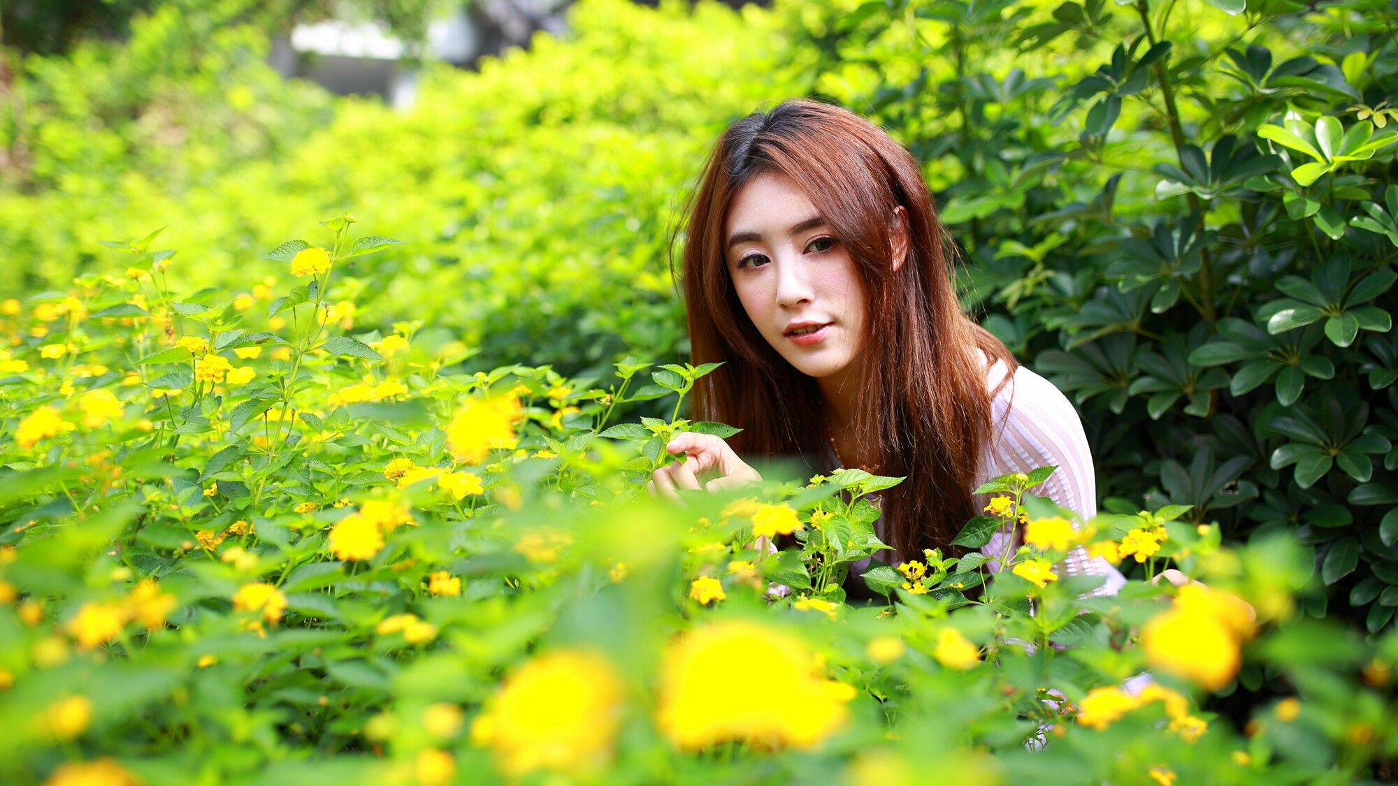 [台湾嫩模] Miso夏晴 - 清新街拍_第2张