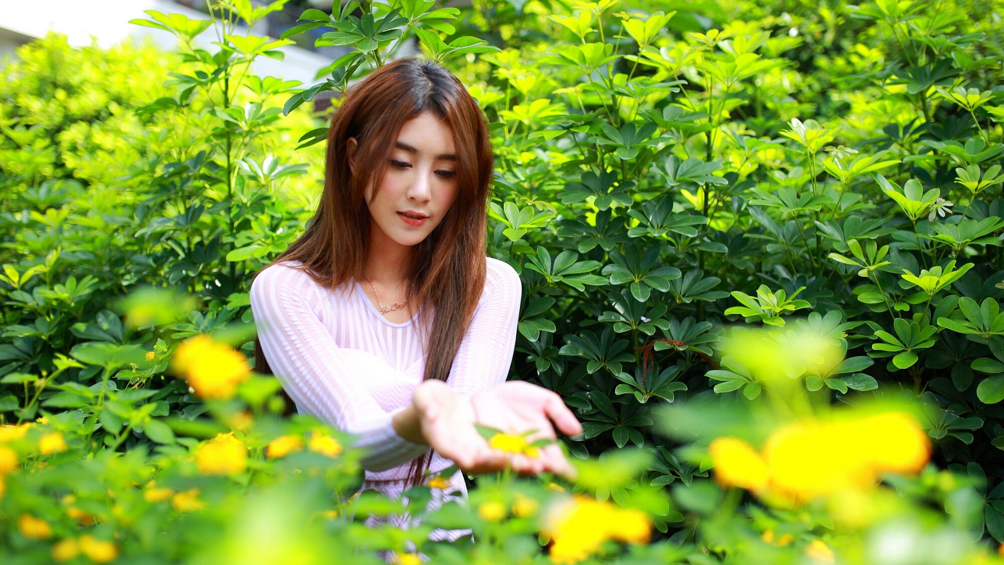 [台湾嫩模] Miso夏晴 - 清新街拍_第3张