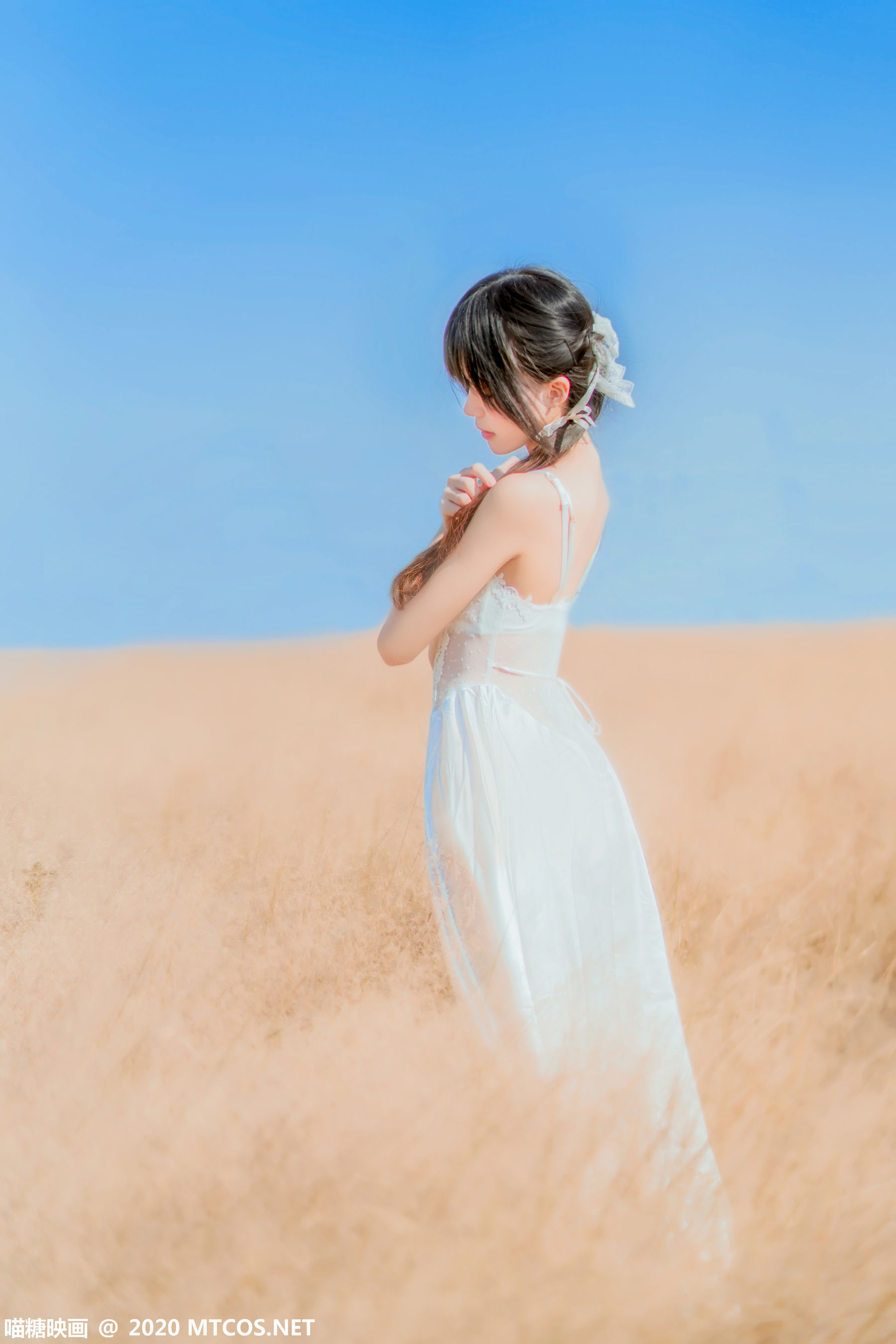 [喵糖映画] VOL.224 桜桃喵 晚秋的原野_第1张